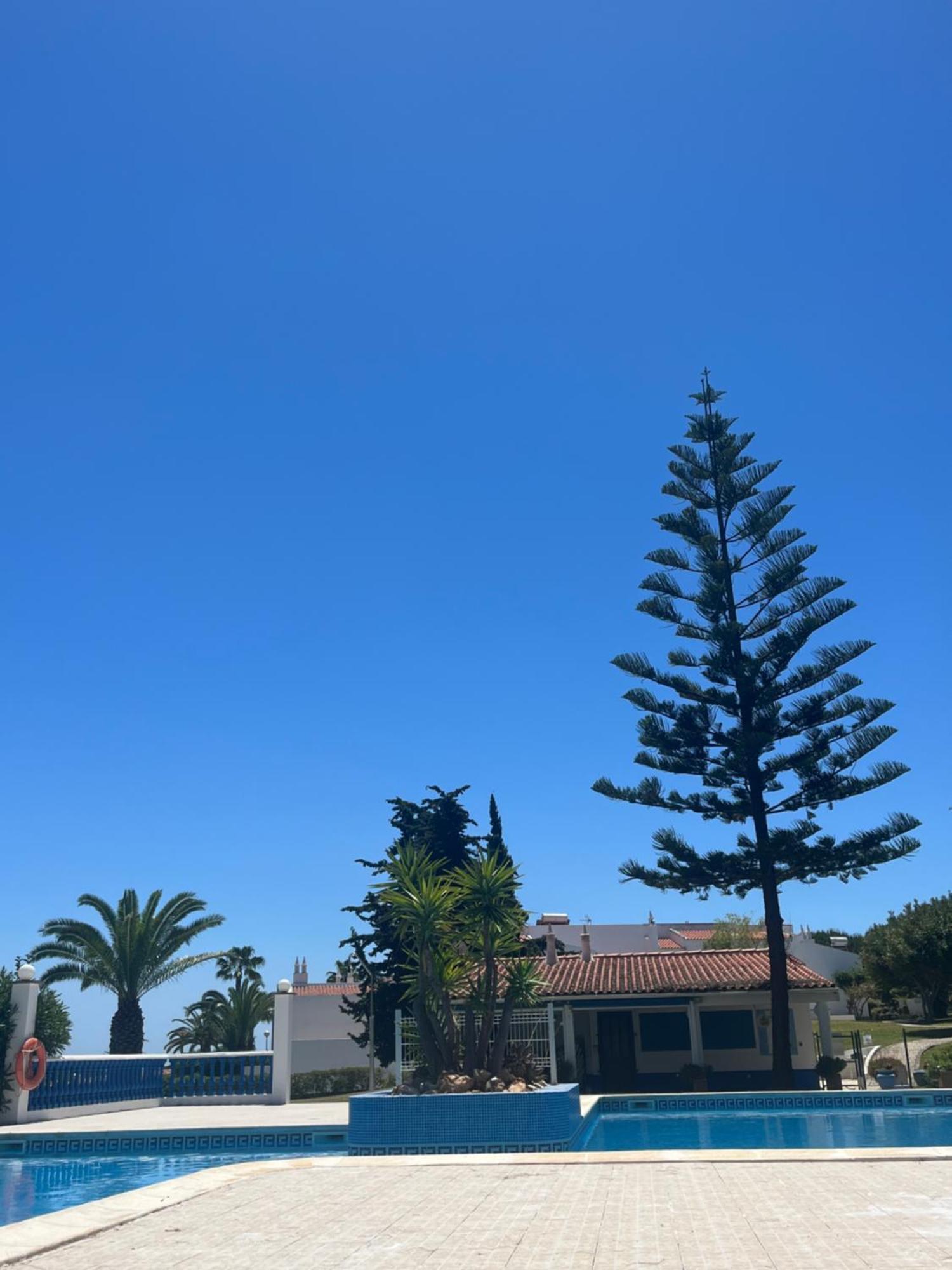 Casa Oliveira - Algarve