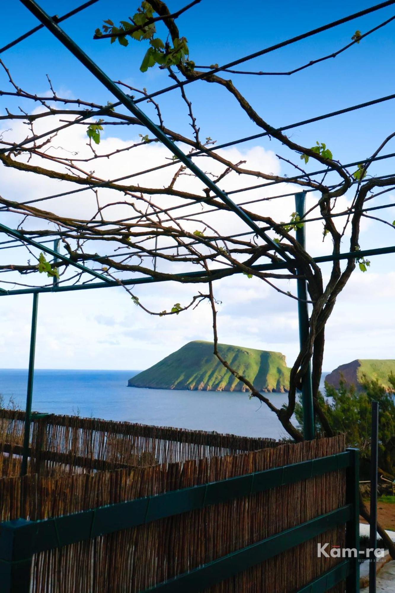 Casa Da Avo Couta Holiday home