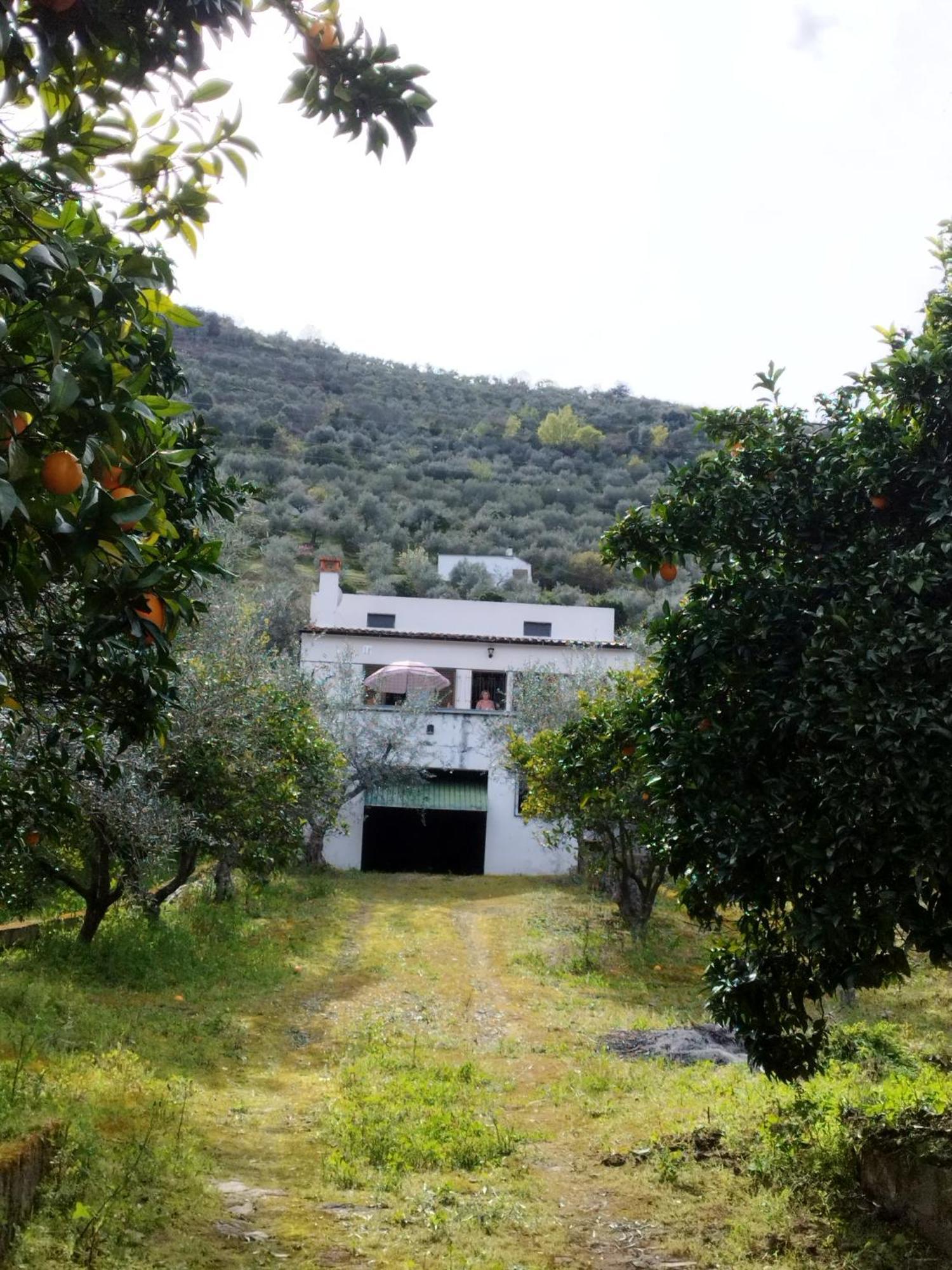 Casa Do Rio Holiday home *