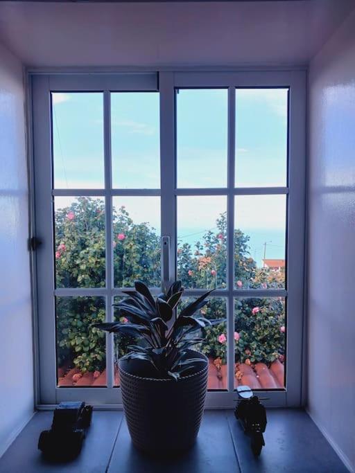 Achadas Da Cruz Farm House Holiday home *