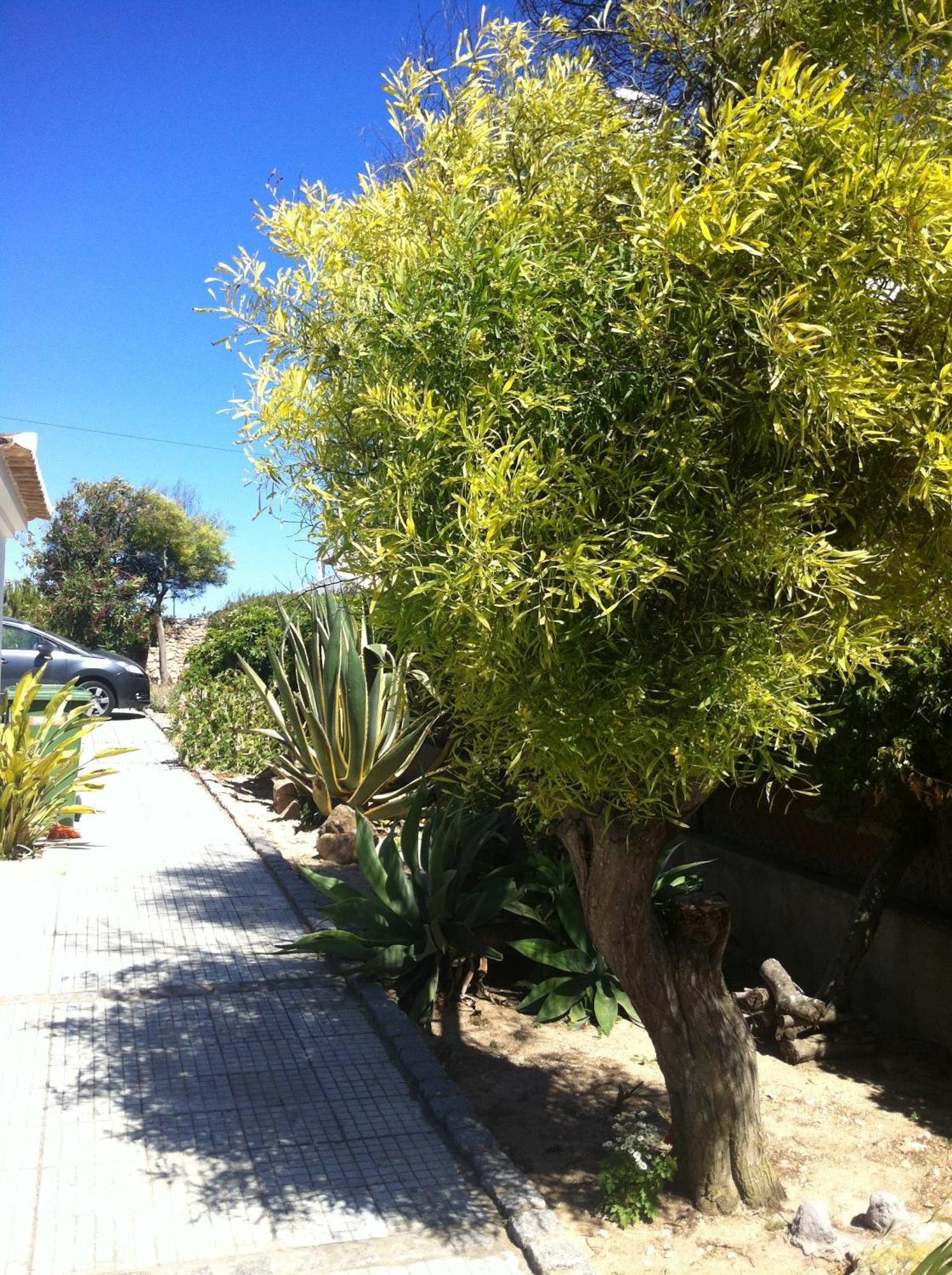 Guest house Casa Do Cabo De Santa Maria