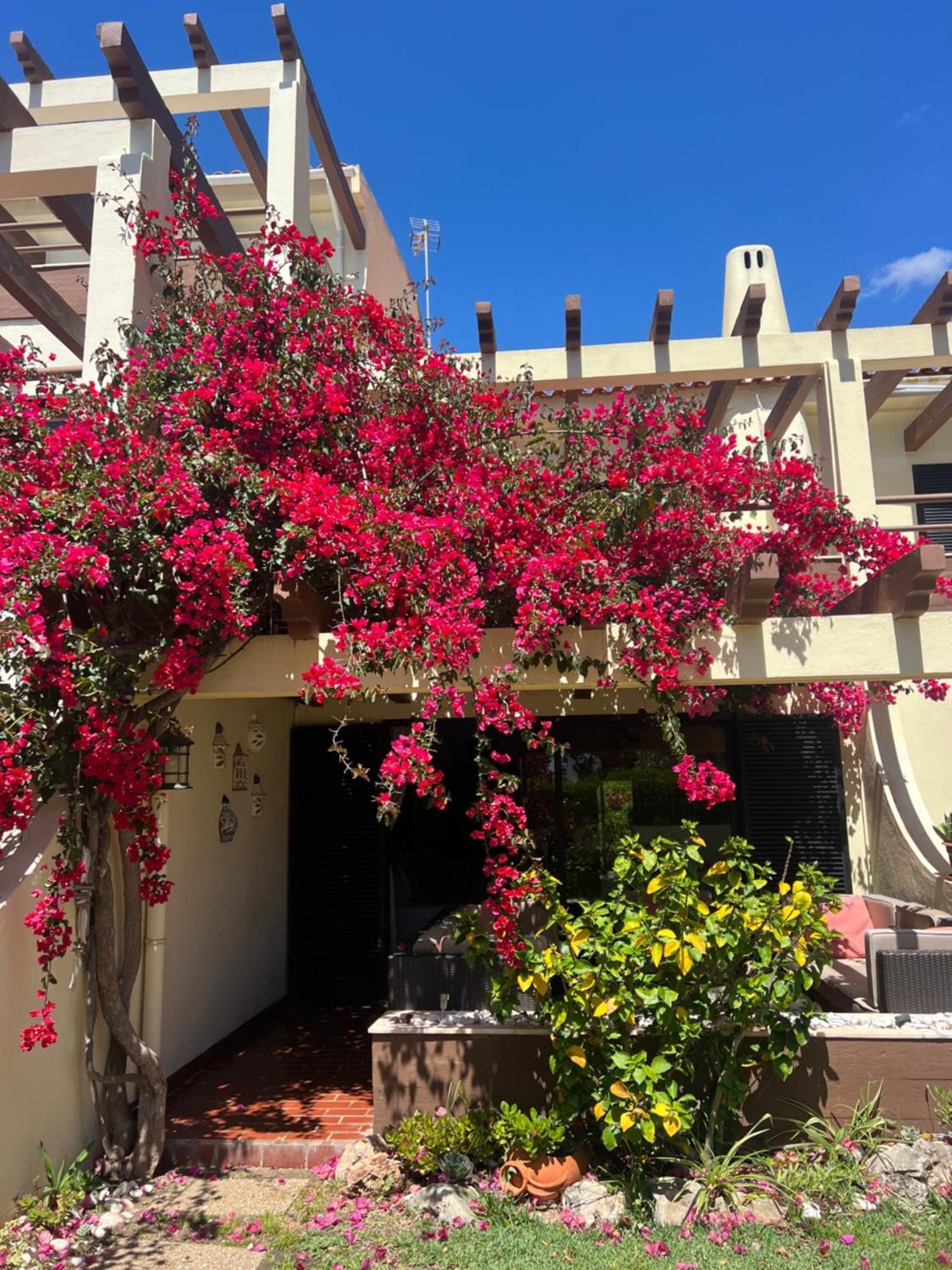 Falesia Town House 2 Bedroom Olhos de Agua (Albufeira)