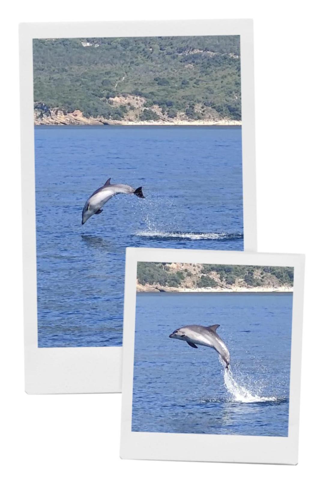 Yvonne's Bela Vista * Sesimbra
