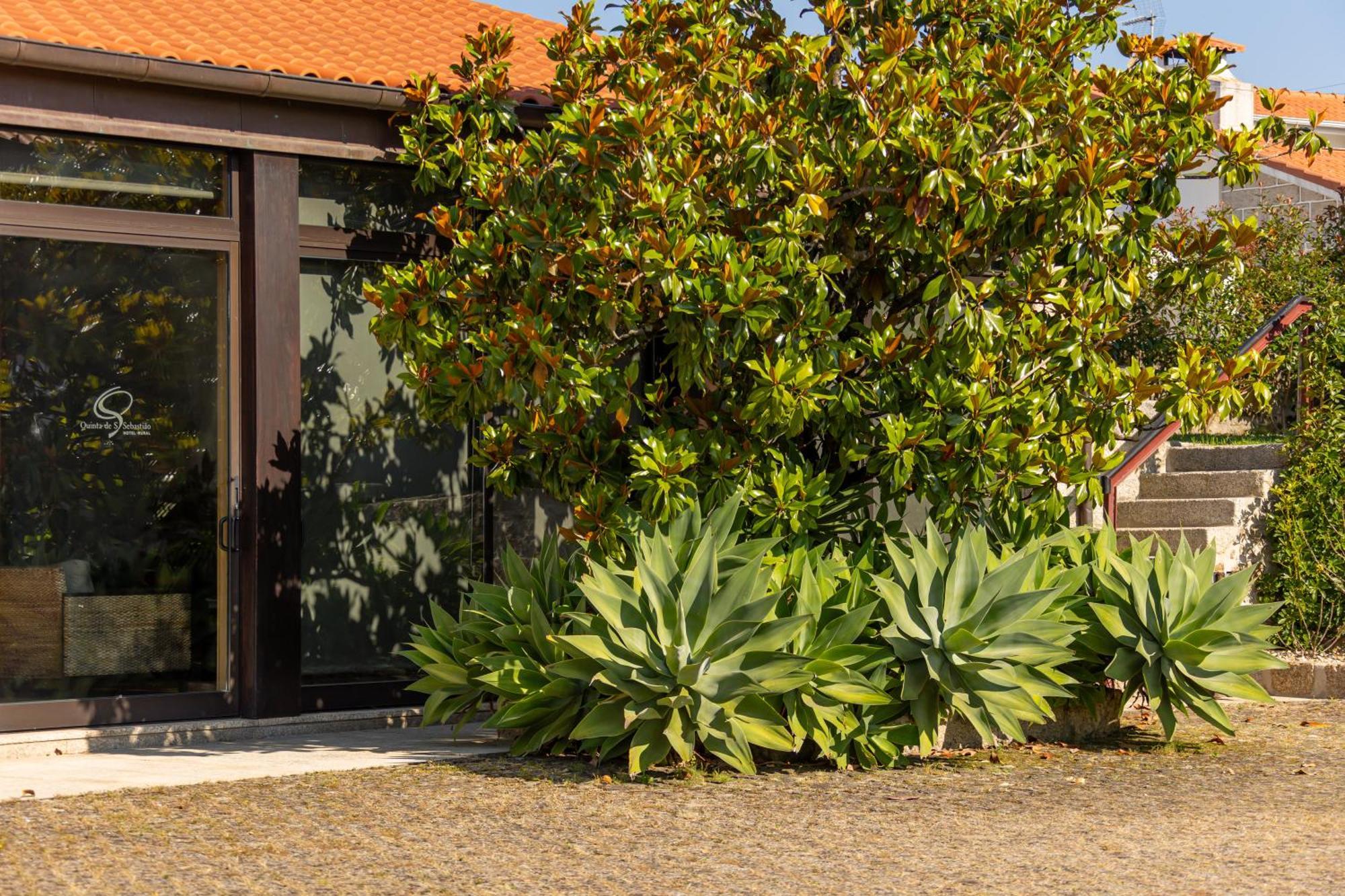 Rural Quinta De Sao Sebastiao