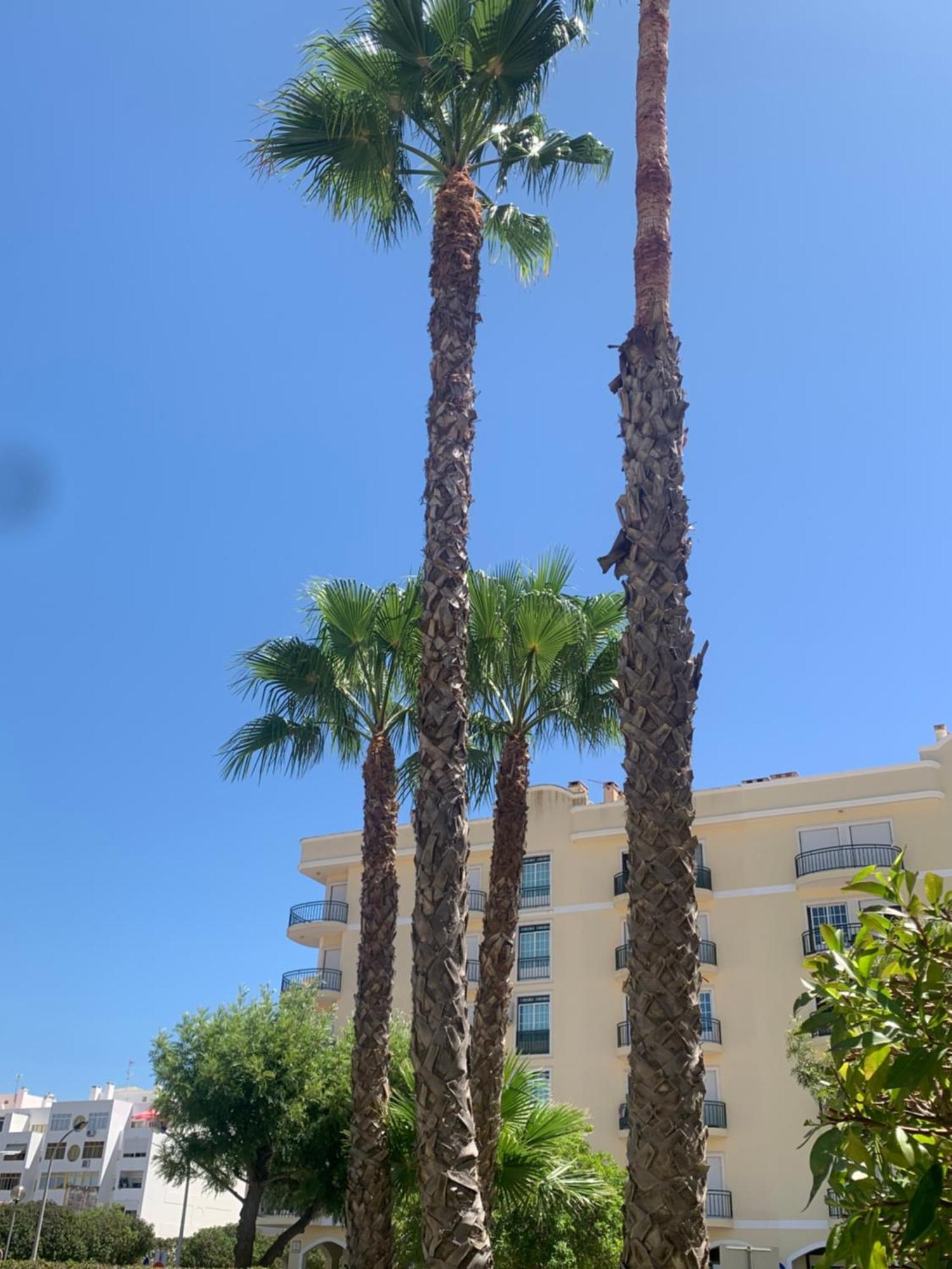 Dunas De Vilamoura Quarteira