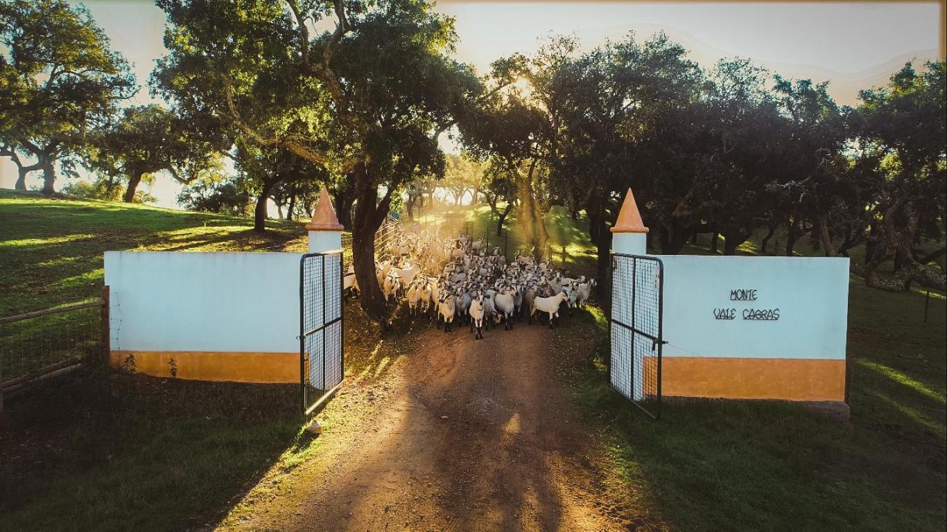 Herdade Vale De Cabras Vakantieboerderij *