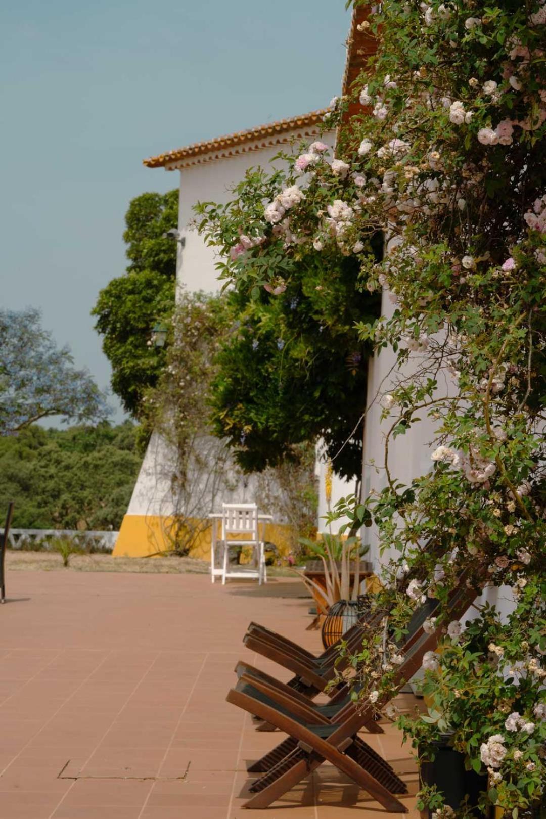 Herdade Vale De Cabras Agroturismo Portel