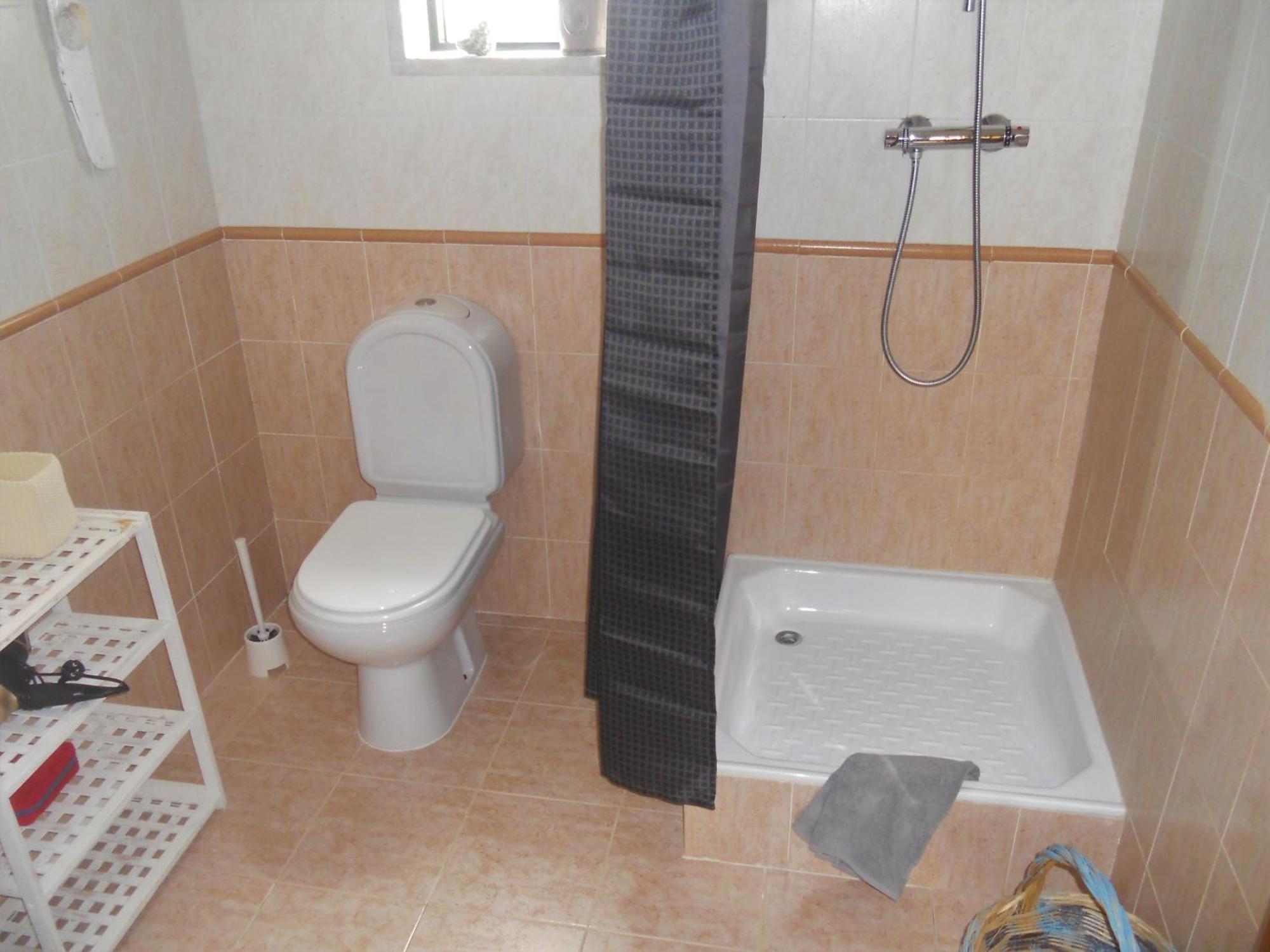 Galo Preto - * Sintra