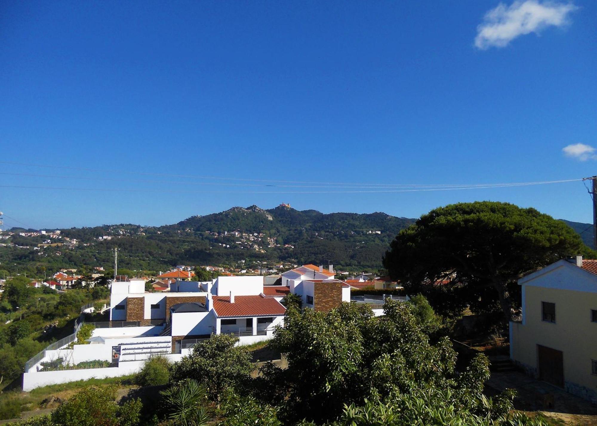 Bed & Breakfast Galo Preto - *