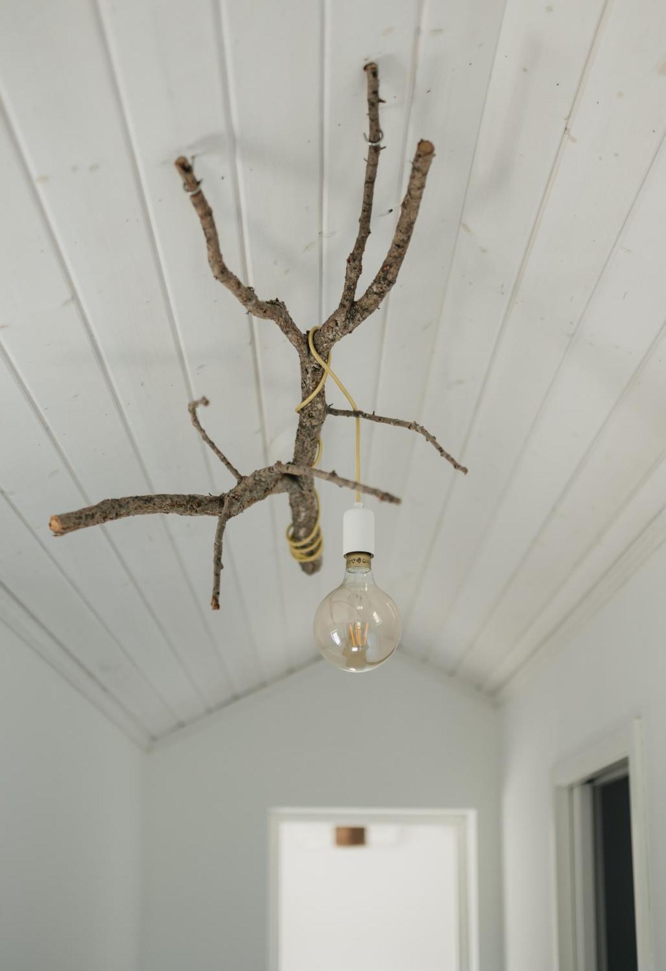 Farm stay The One - Grandola