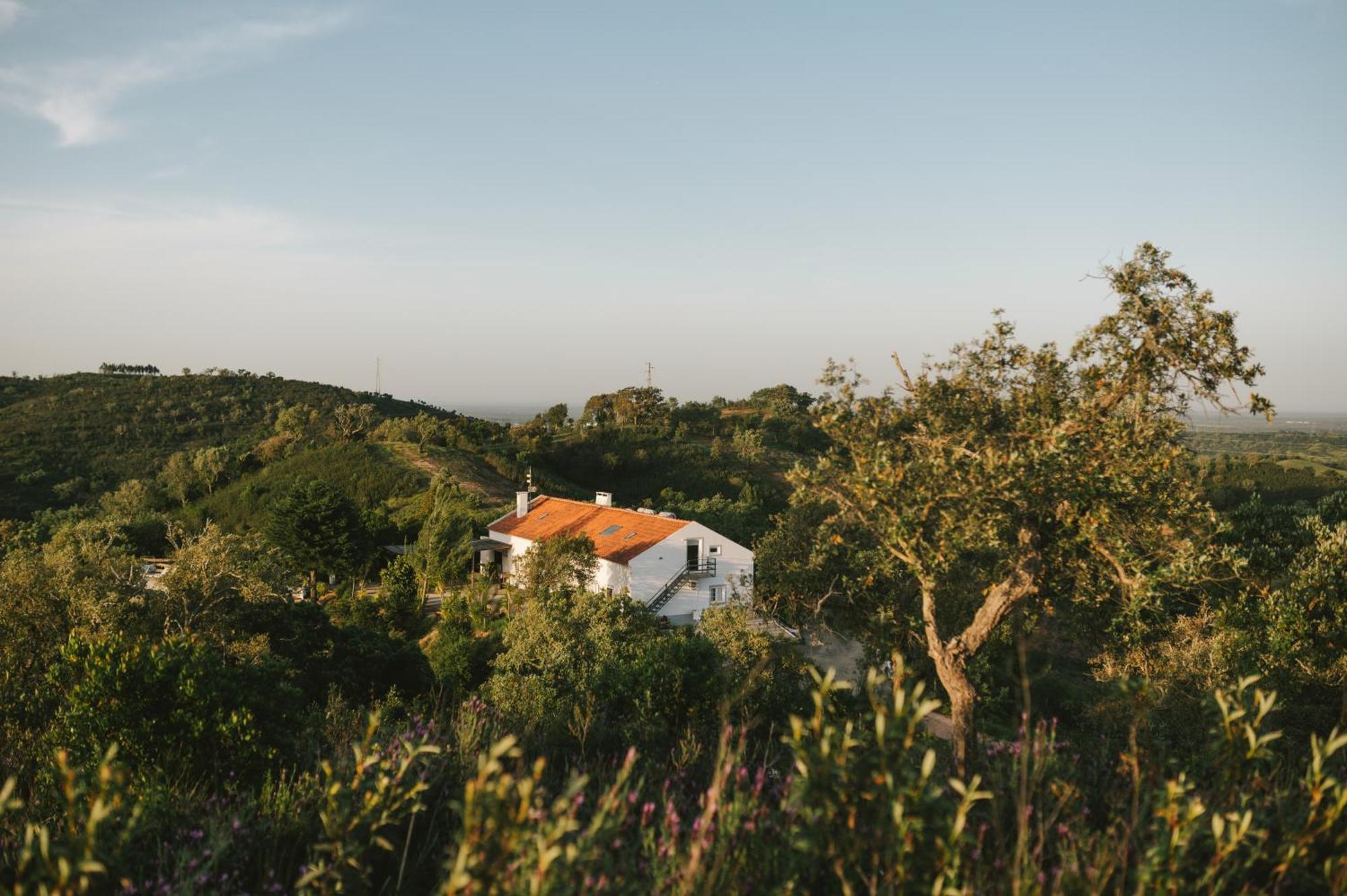 The One - Farm stay *
