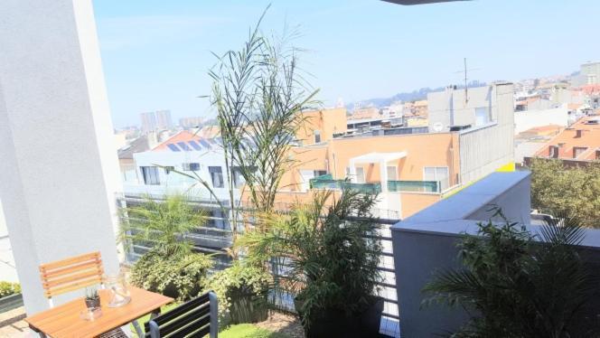 Apartment Jardim Na Matosinhos (Porto)