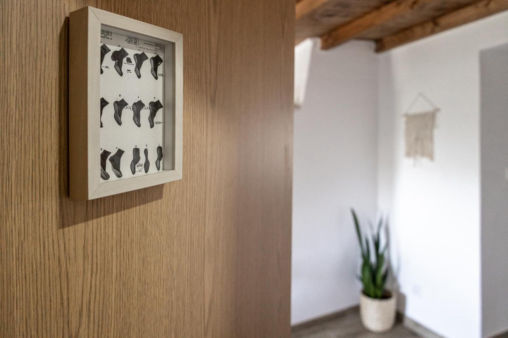 Casa Da Judiaria *