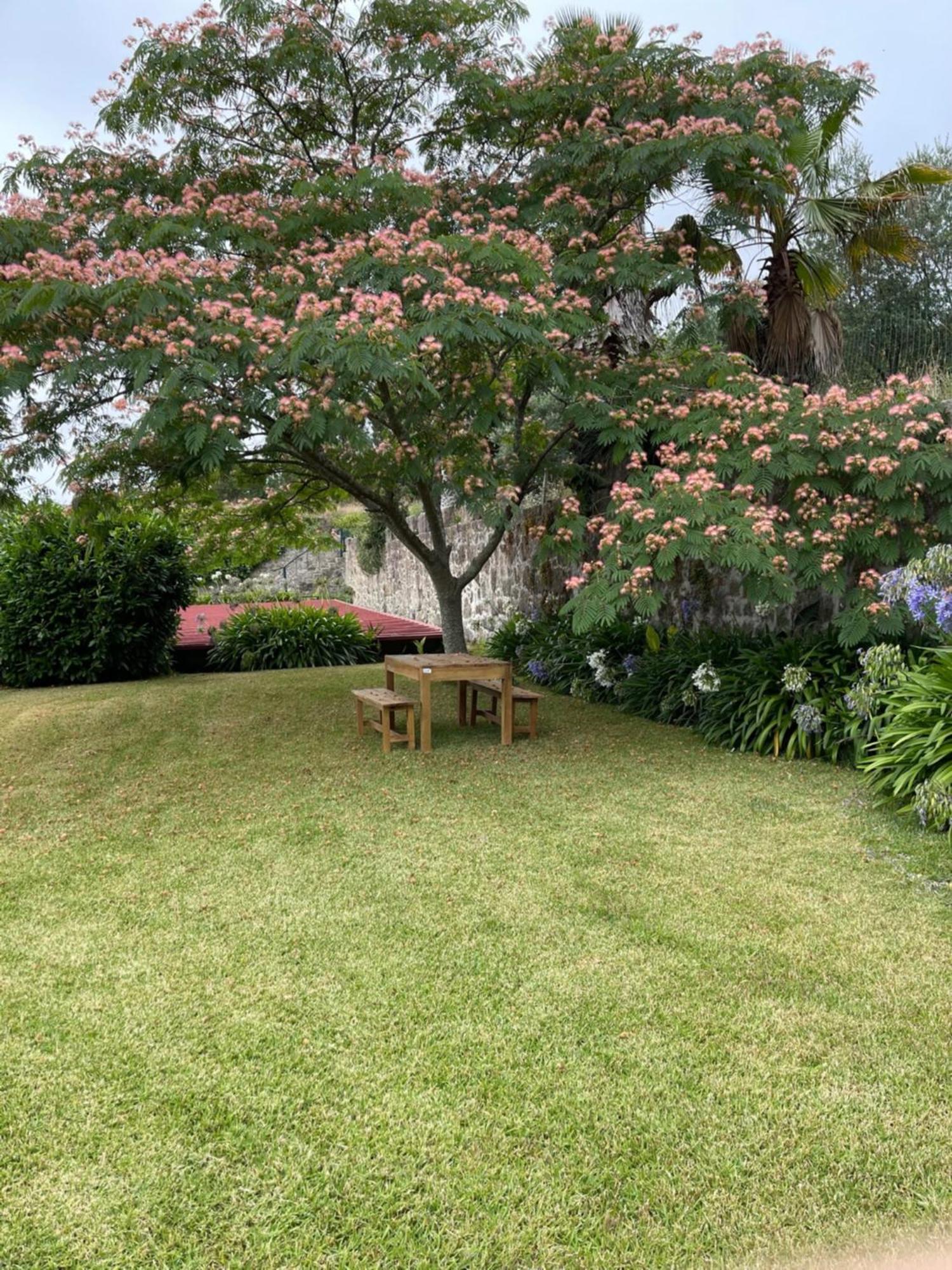 Quinta Da Fonte - Barroselas