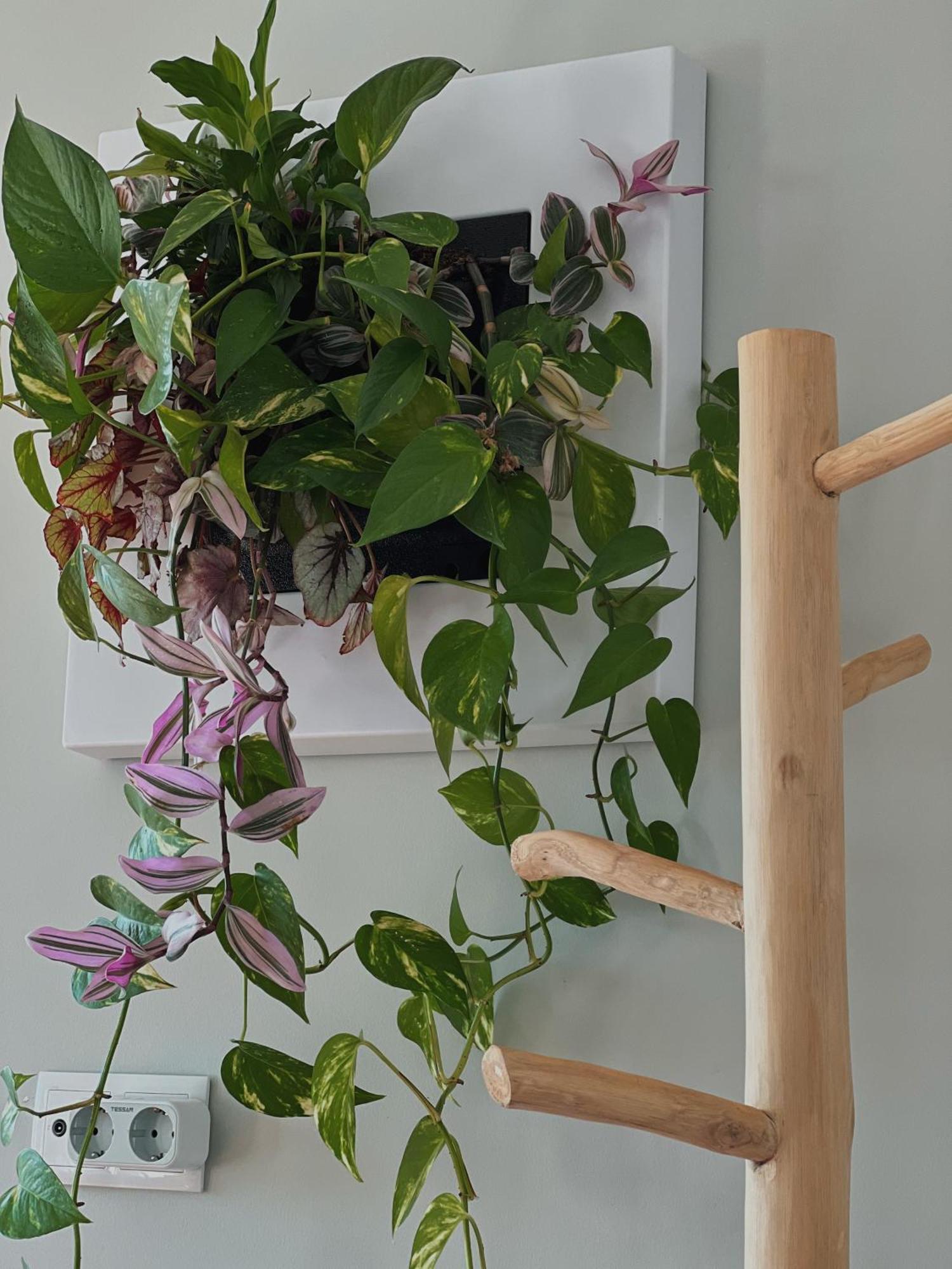 Luna House & Cowork Bed & Breakfast *