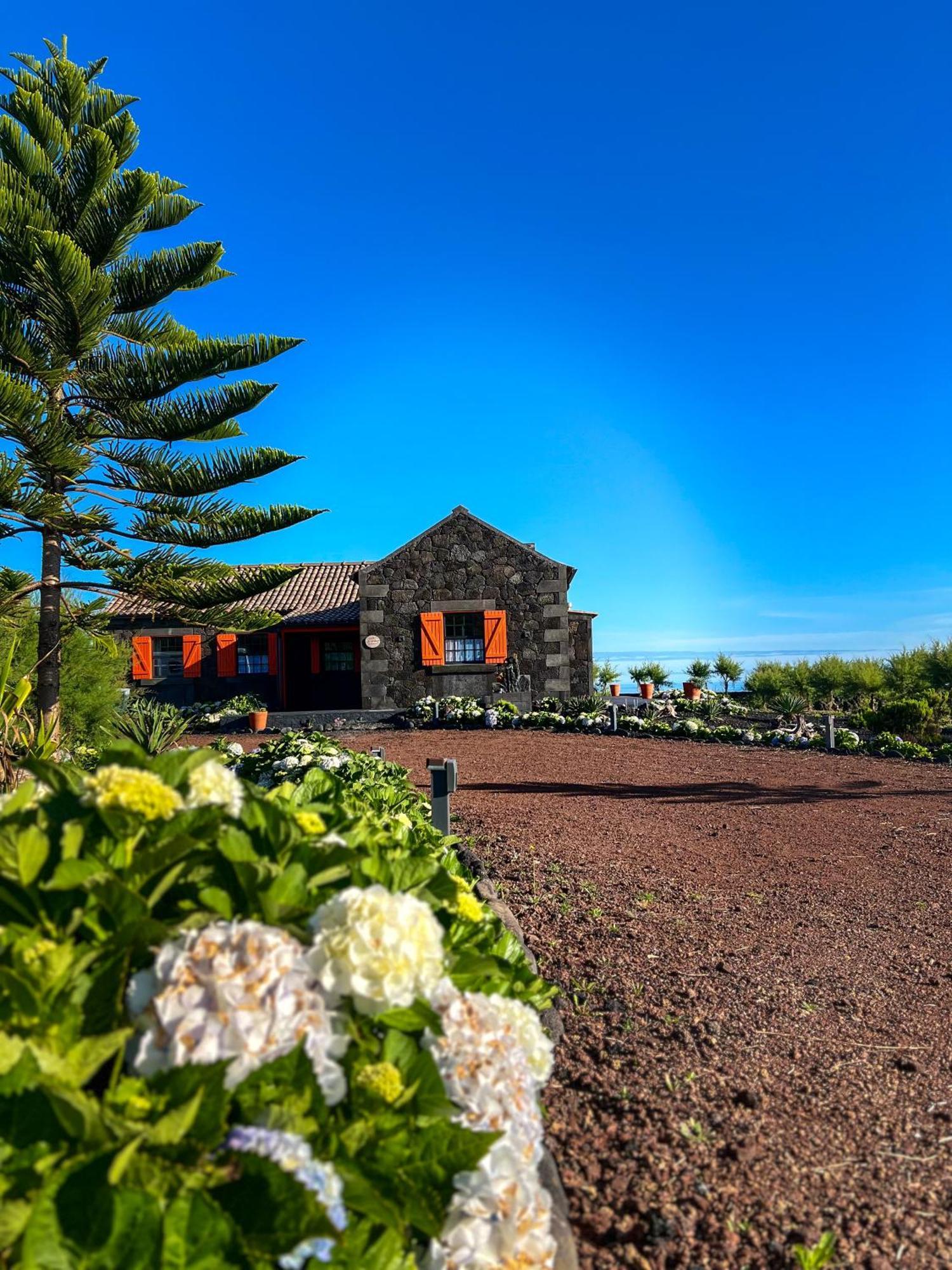 Casa Baleia Laranja Ocean-front *