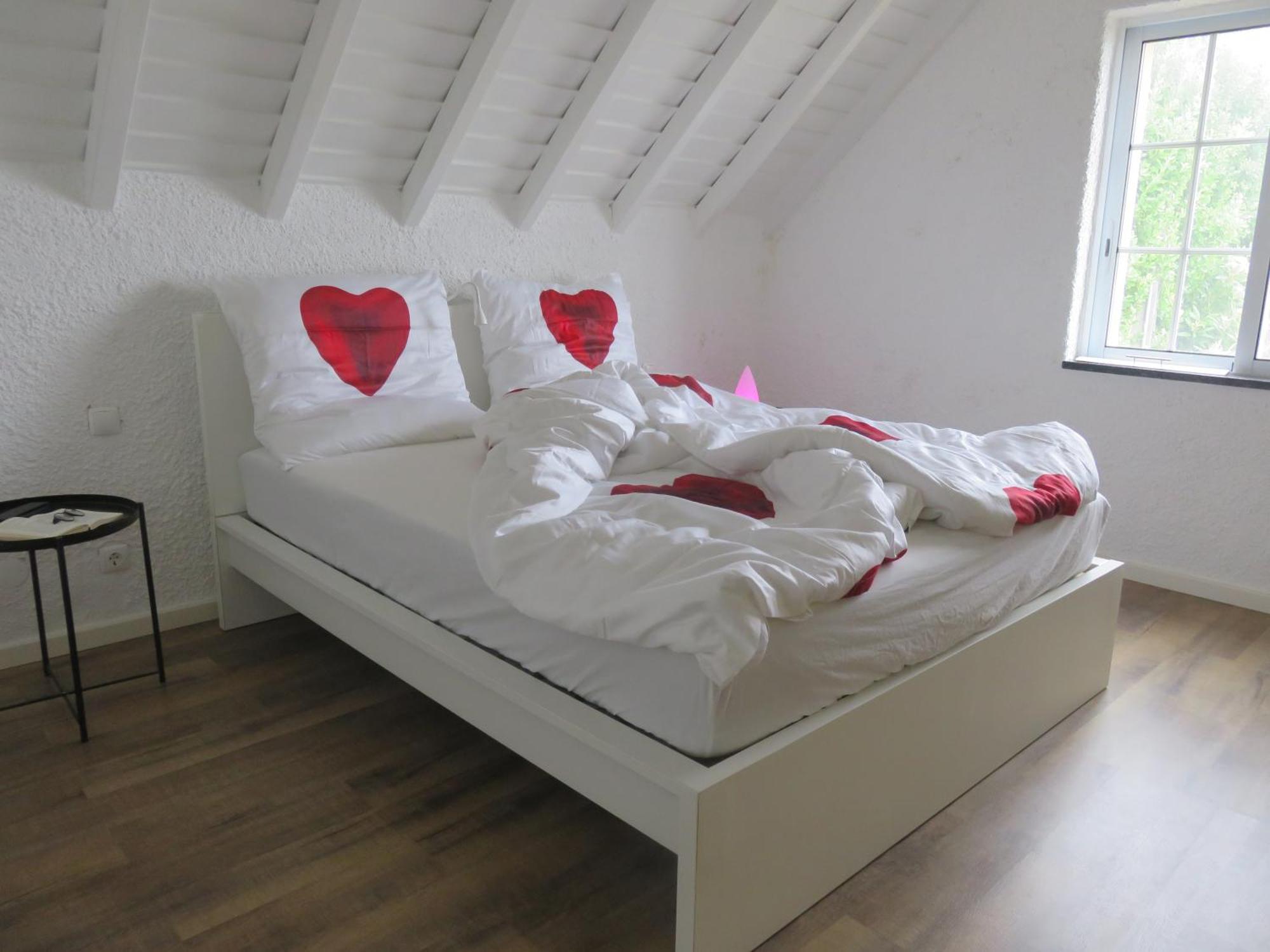 Homestay Cedros
