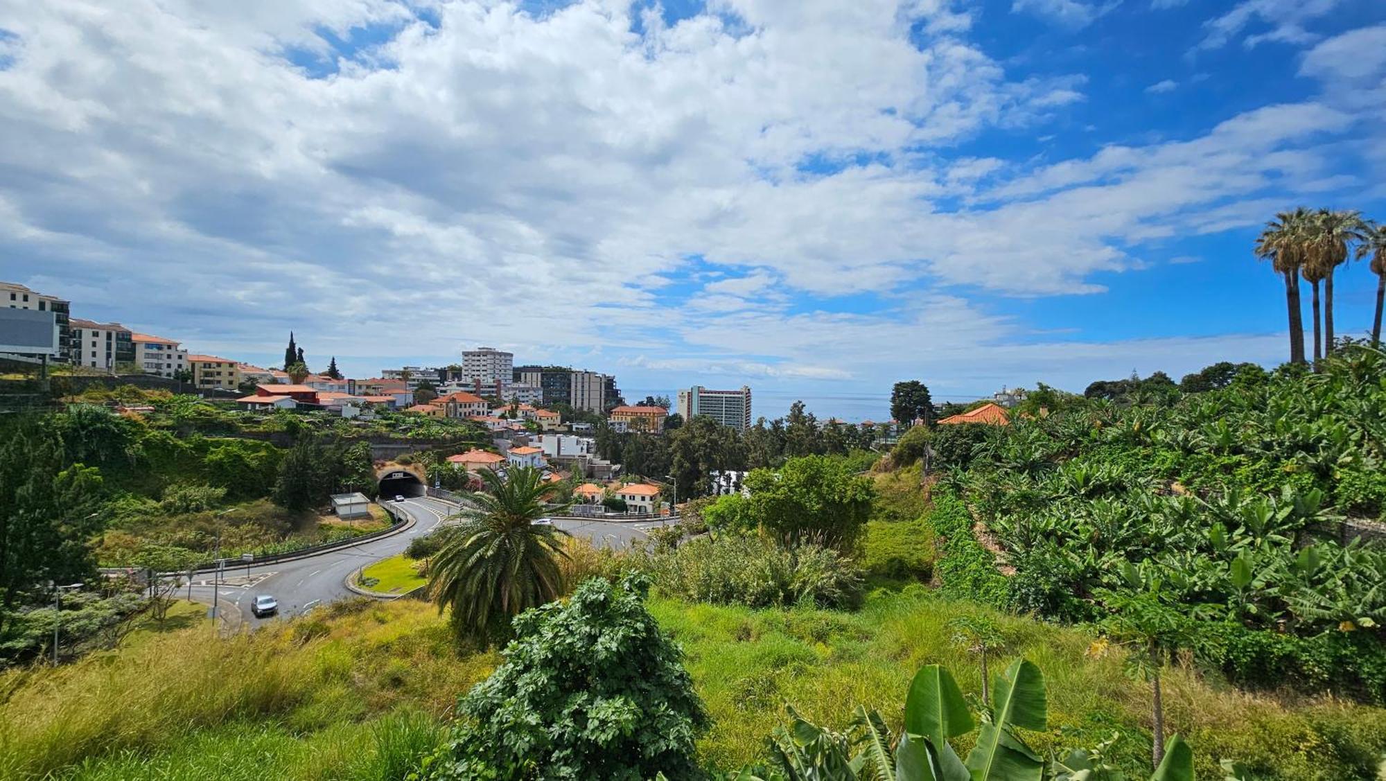 Magnolia Casa de férias Funchal (Madeira)