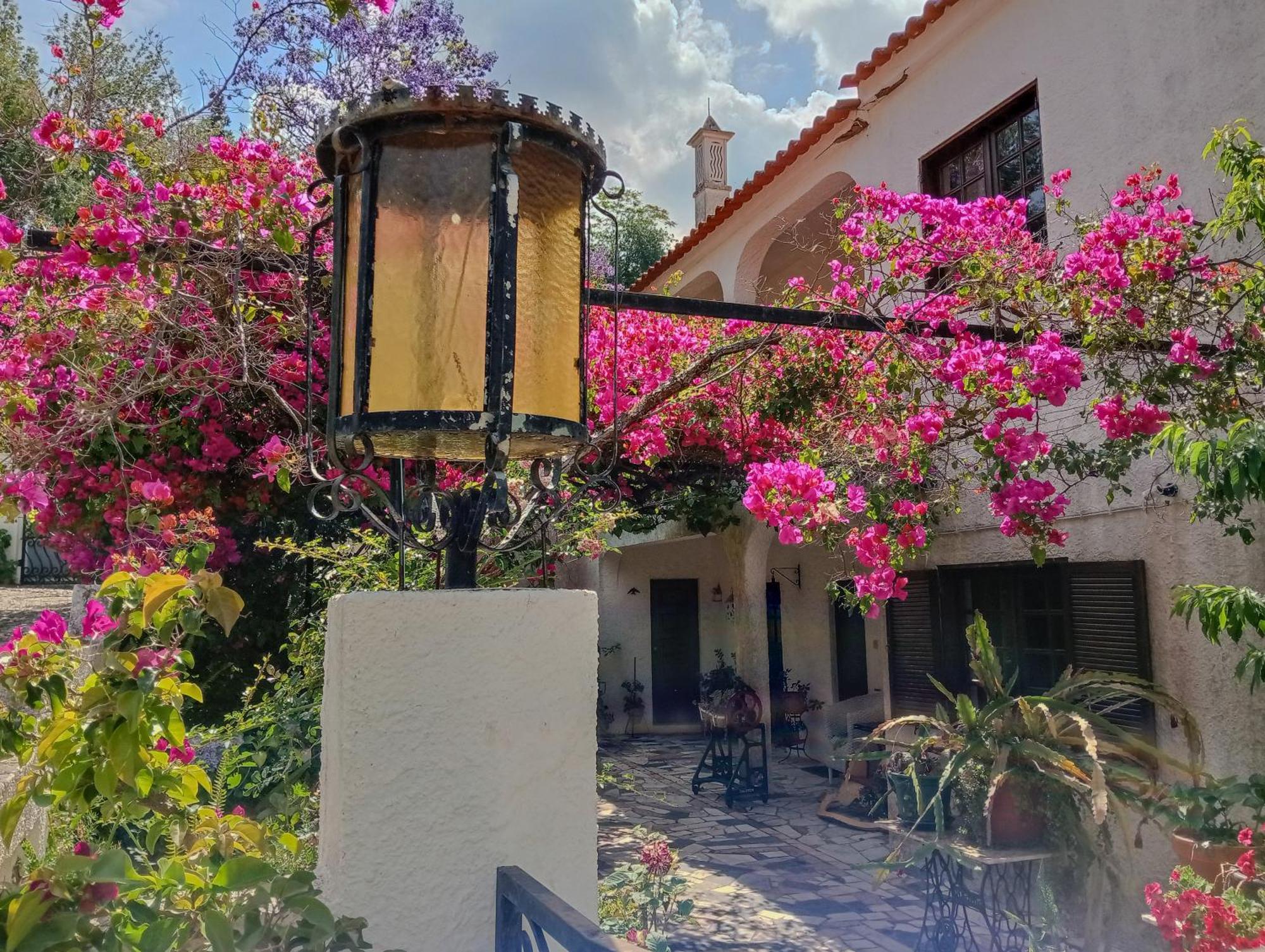 Inn Albergaria Do Lageado