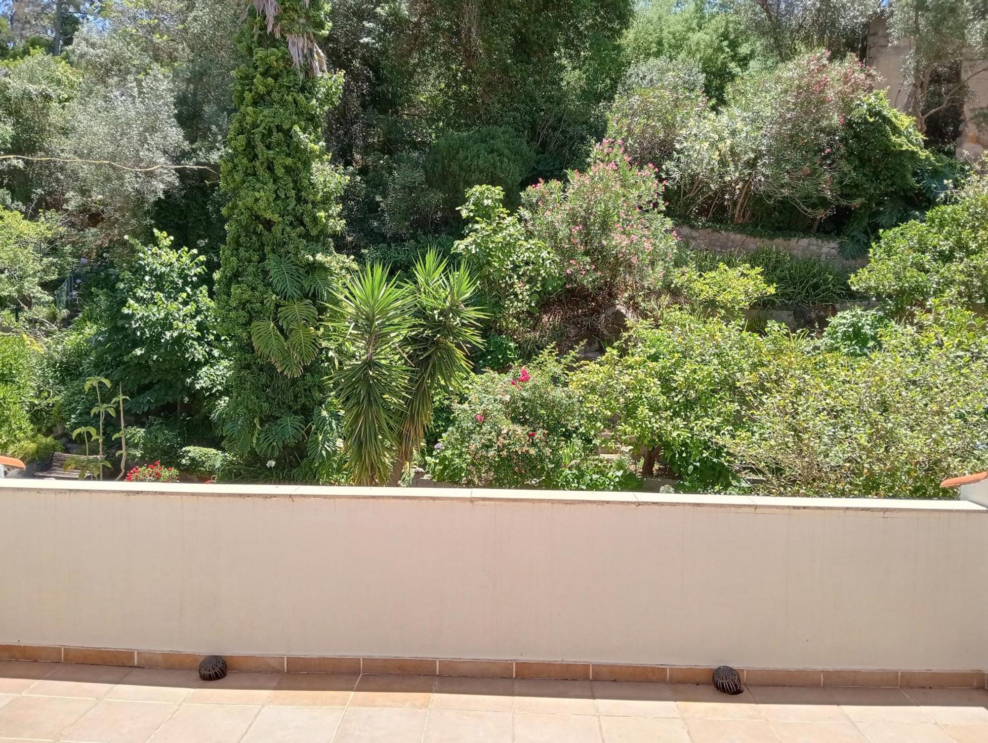 Inn Albergaria Do Lageado 3*