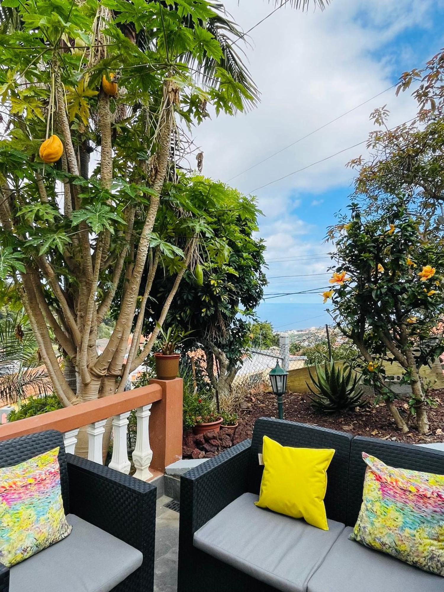 Guest house Cozy House Funchal (Madeira)