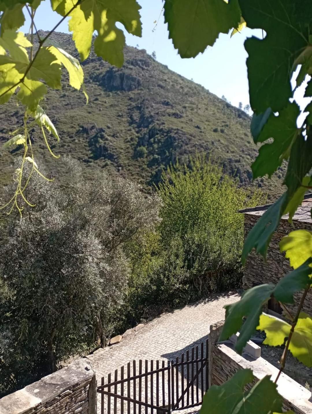 Casa Dos Avos 23