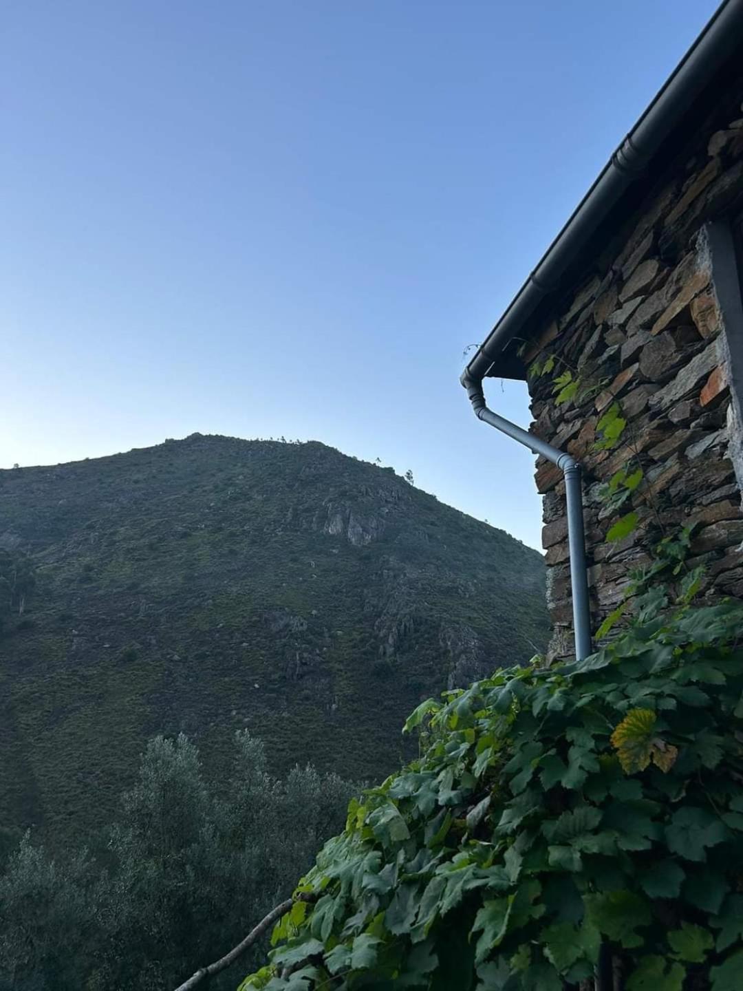 Holiday home Casa Dos Avos 23 Castro Daire