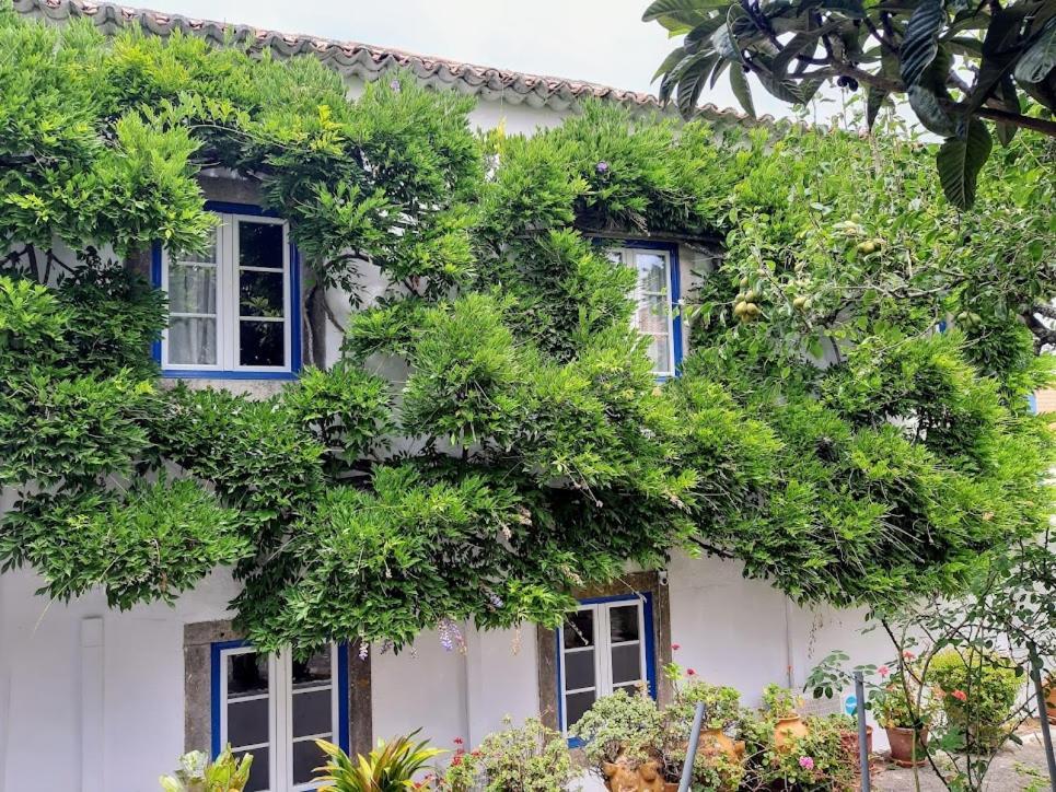 Casa Do Sobral Villa *