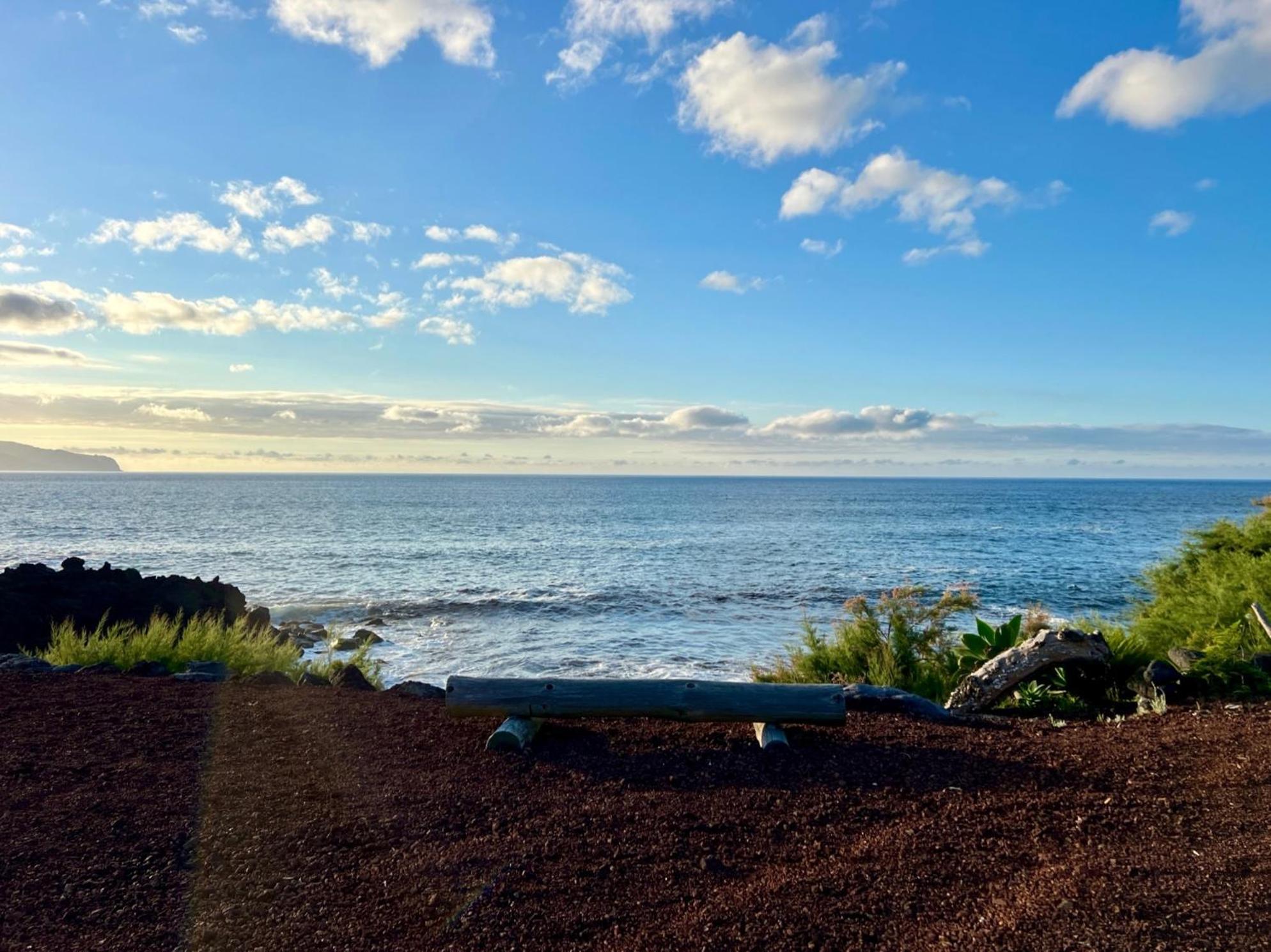 Villa Ocean View Pico *