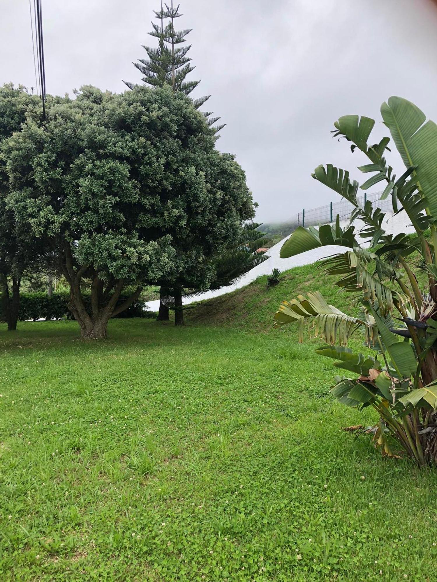 Vivenda Flor Holiday home Ponta Delgada (Sao Miguel)