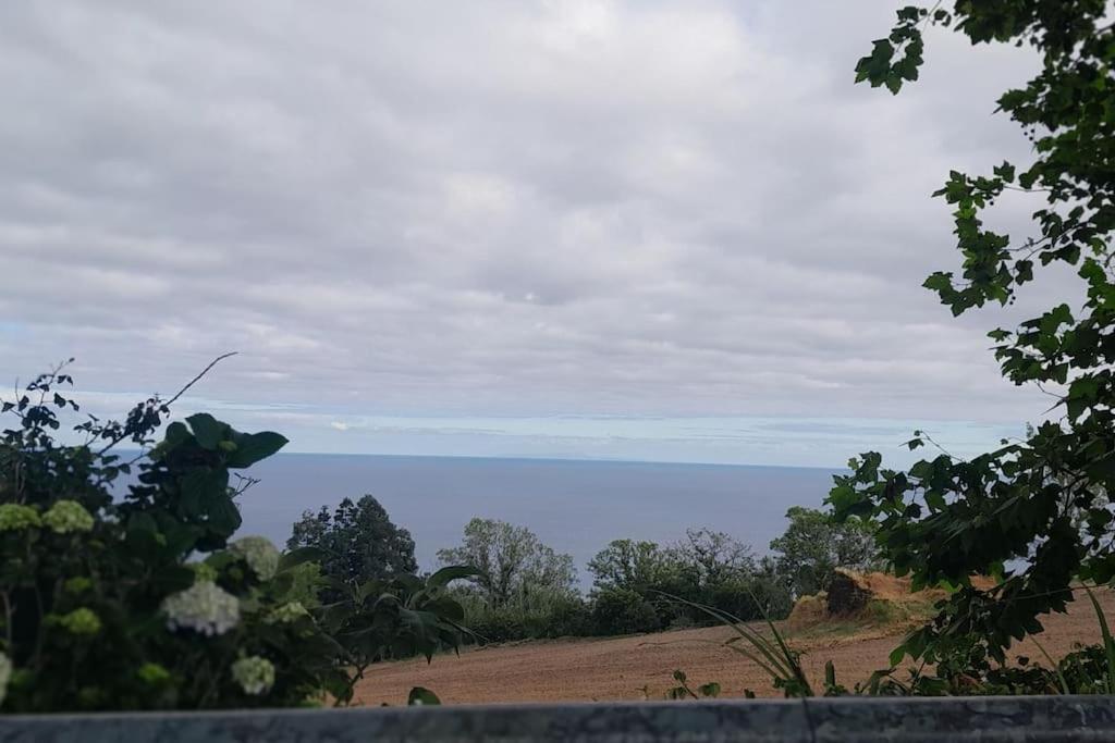 Casa Dos 4 Platanos * Povoacao (Sao Miguel)