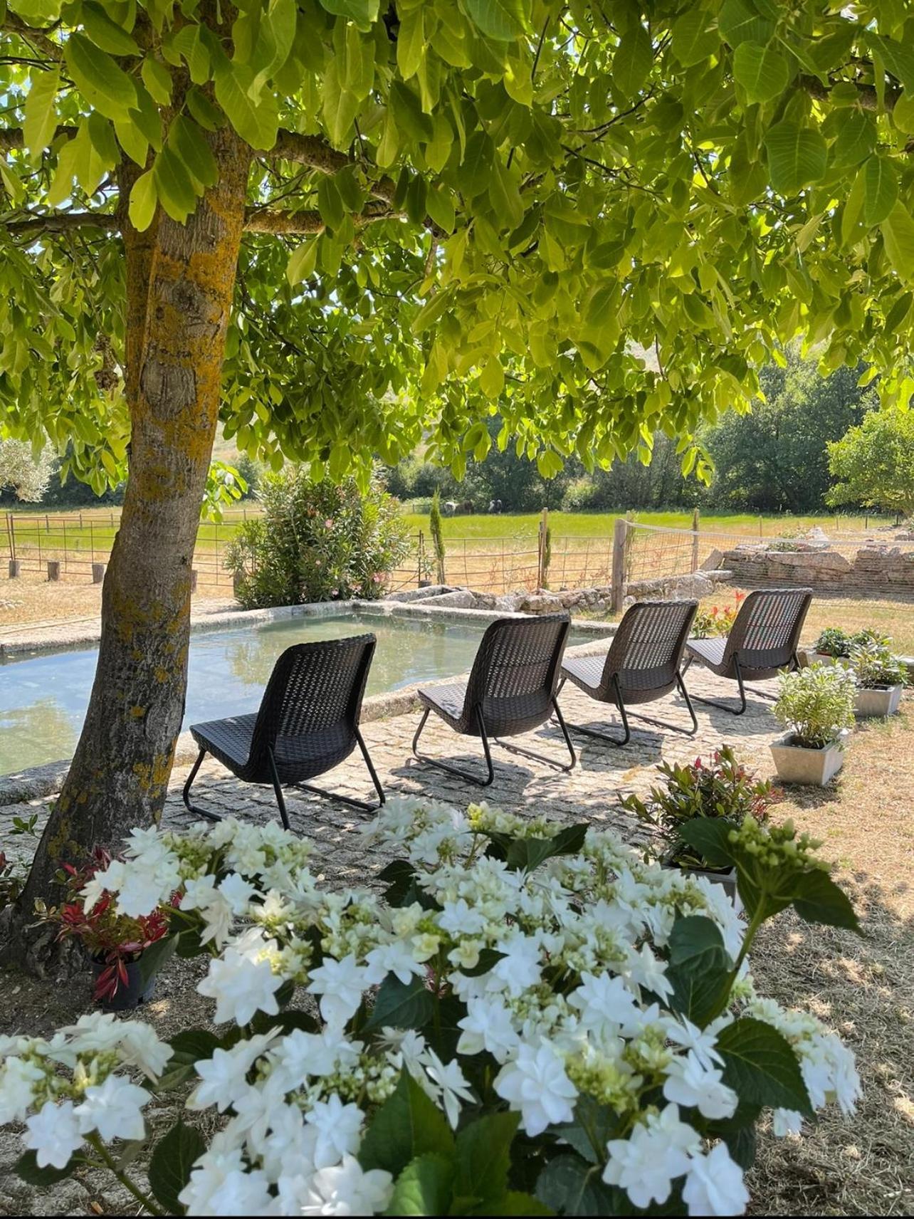 Quinta Vale Da Prata Farm stay *