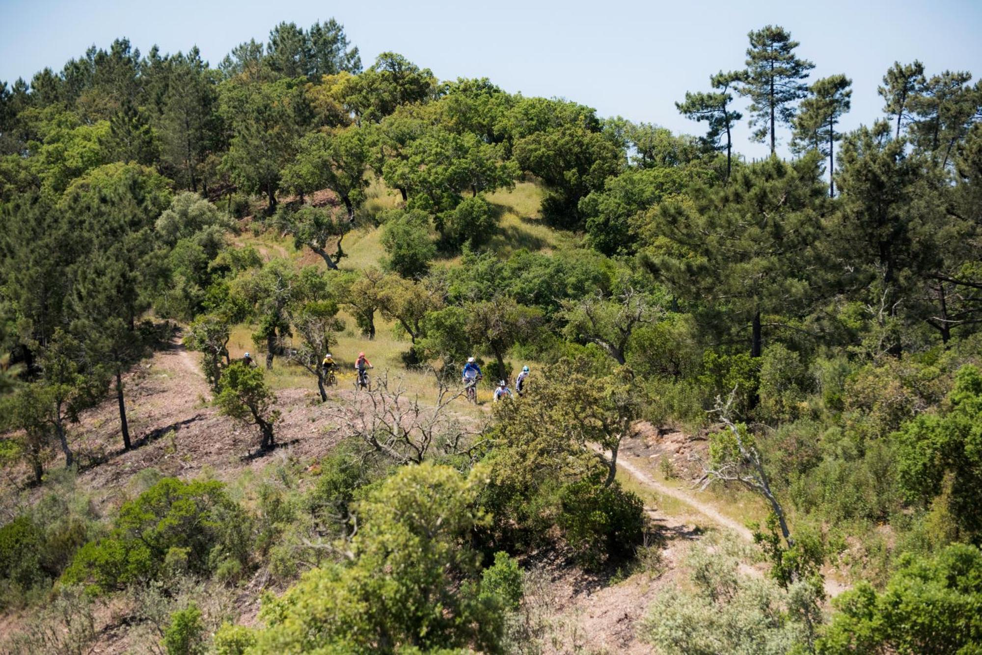 Herdade Barradas Da Serra