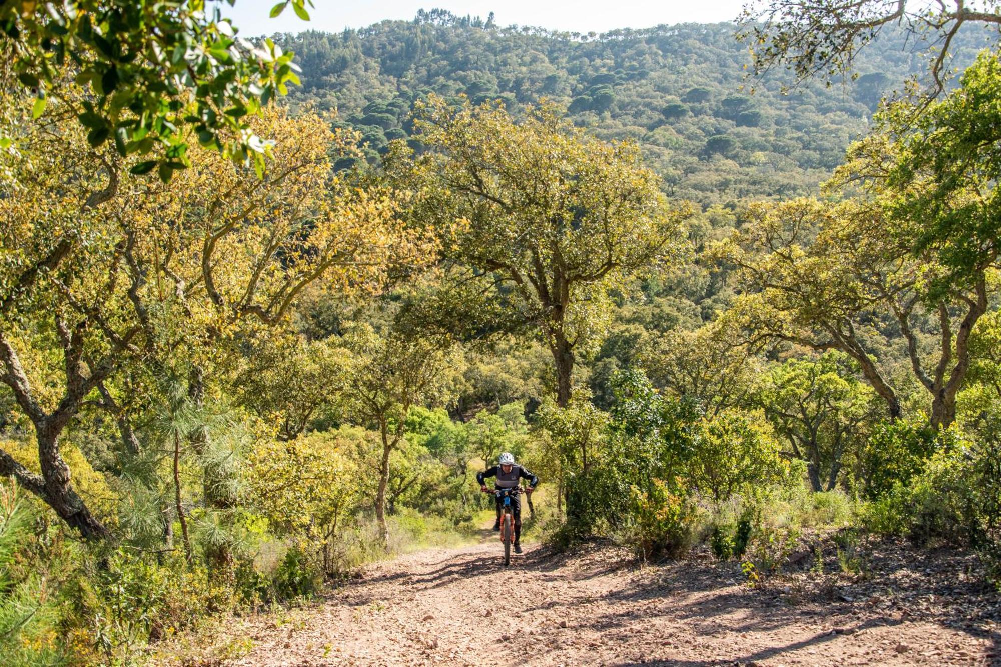 Herdade Barradas Da Serra Agroturismo Grândola