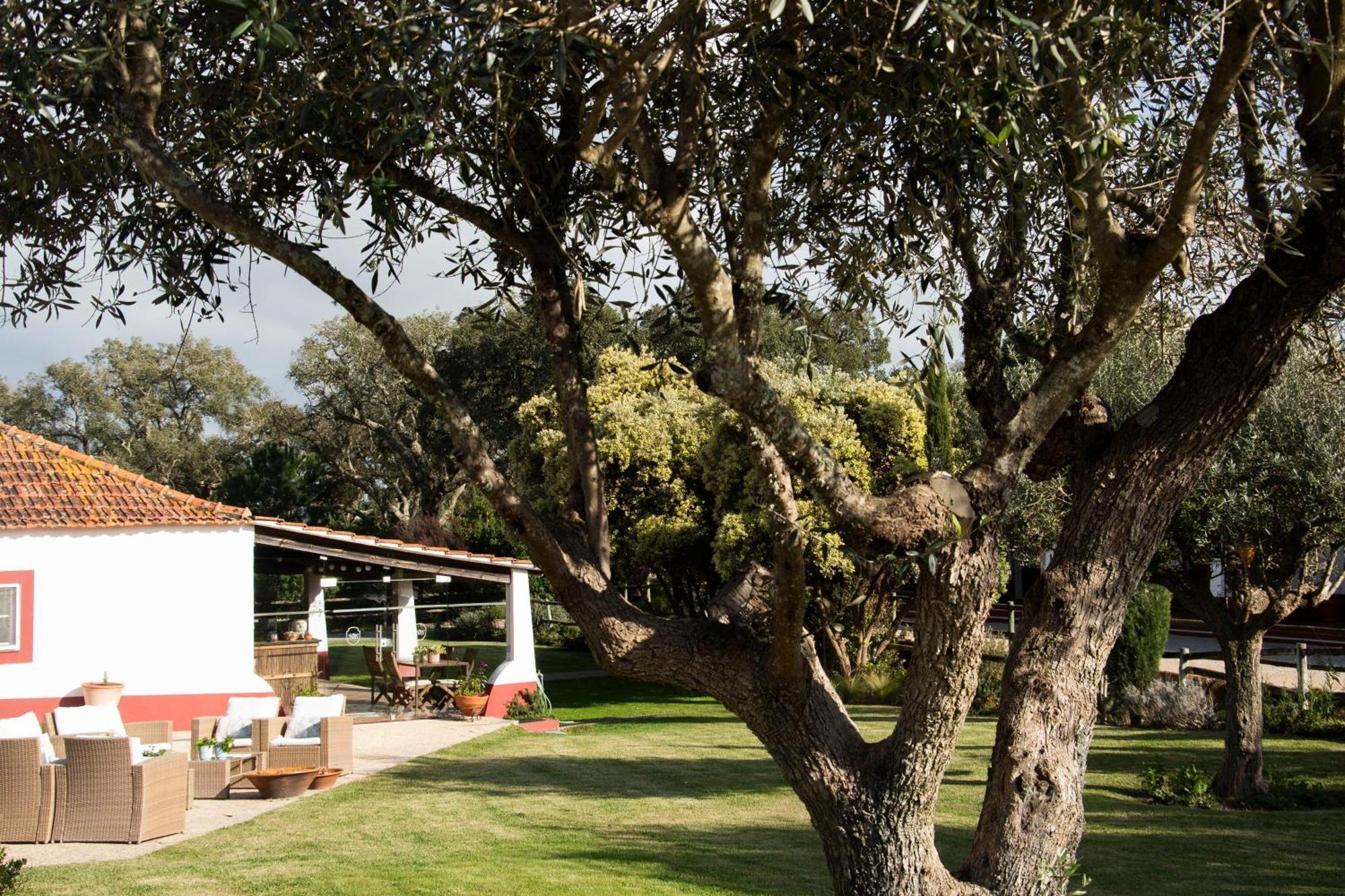 Herdade Barradas Da Serra Agroturismo