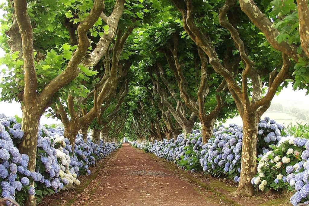Сasa de vacaciones Casa Miradouro Azores