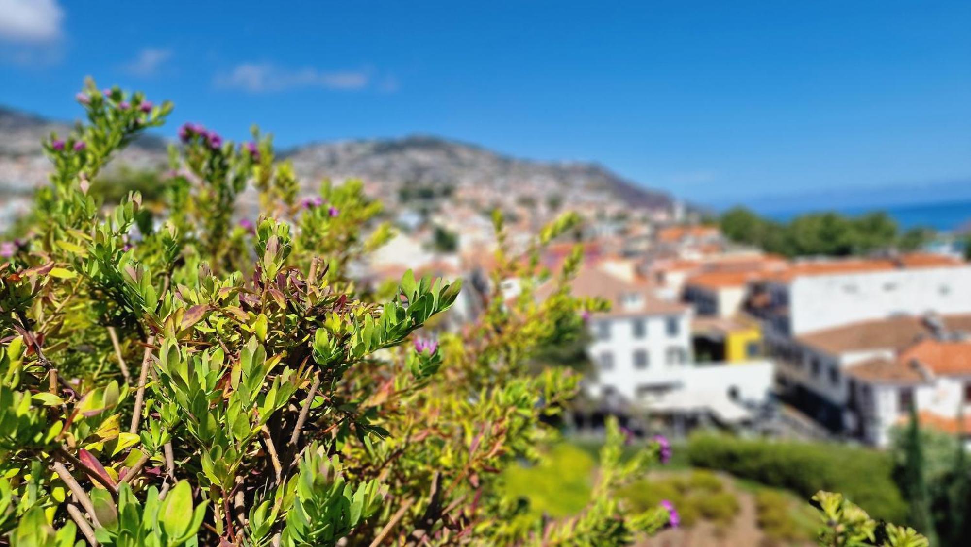 Apartment Daysy Loft By Lovelystay Funchal (Madeira)