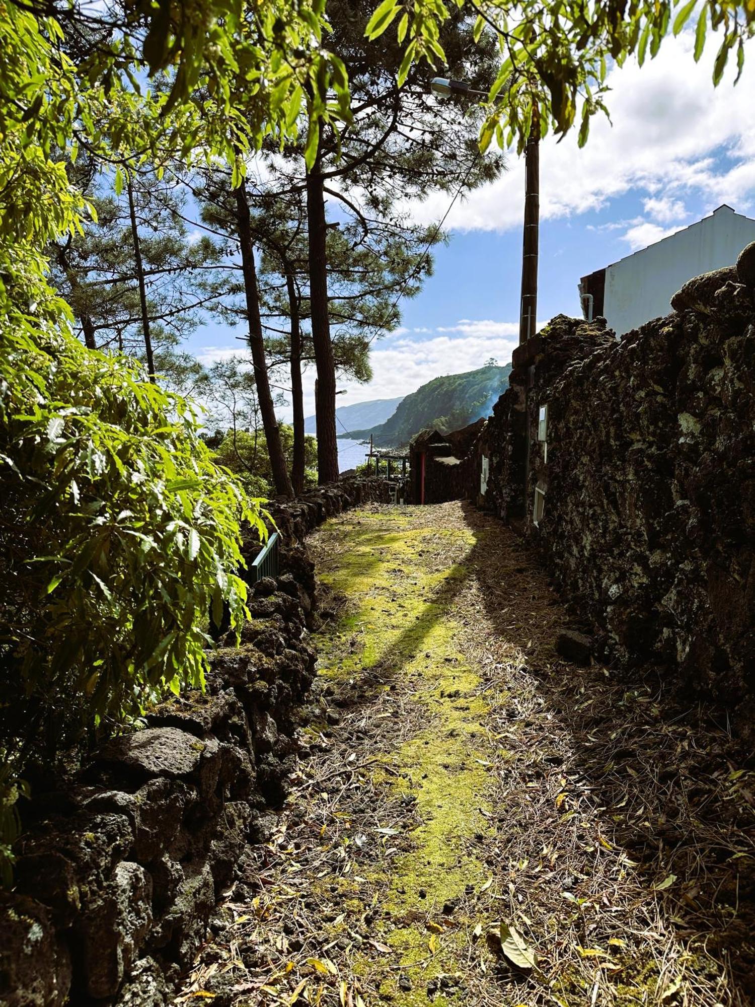 Chalet Adega Baia Azul - The Essence Of Pico *