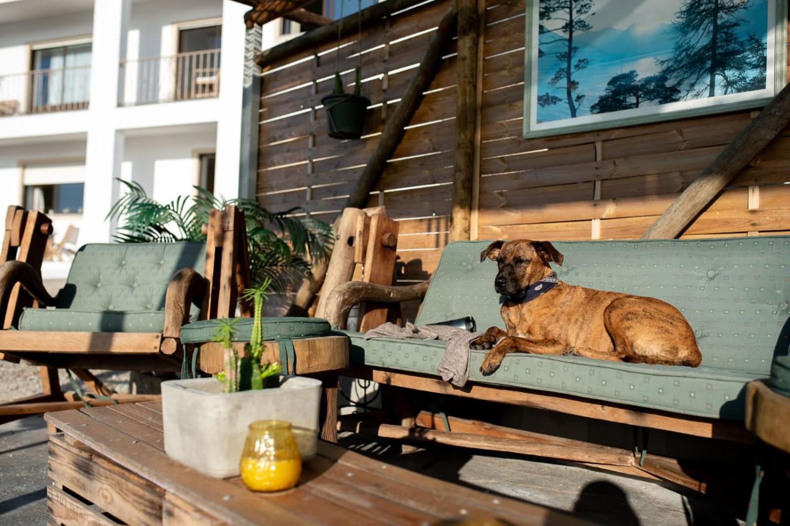 Intuitiva - Relaxation And Mindful Homestay *