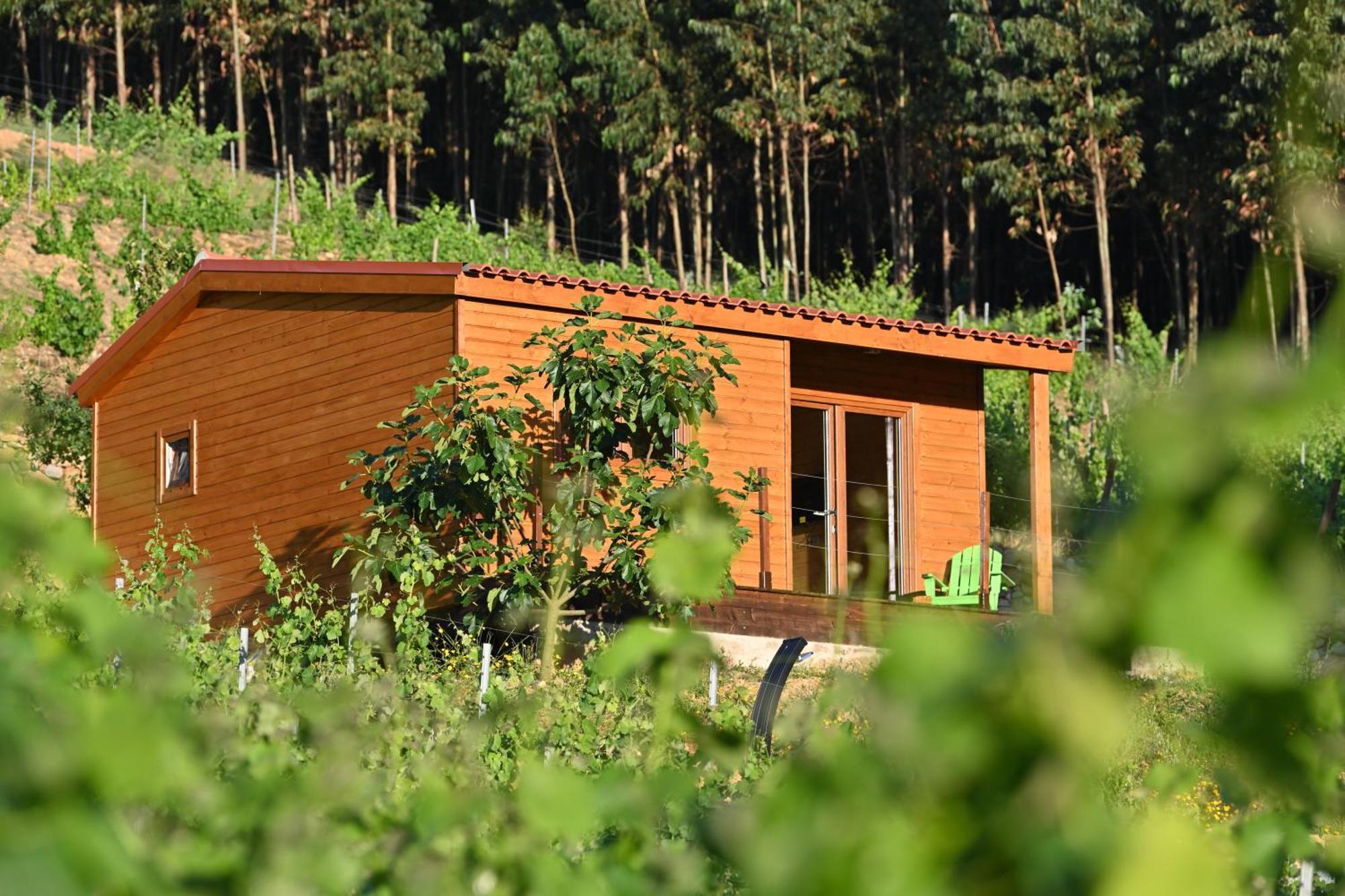 Quinta Da Aldeia Nova Farm stay *