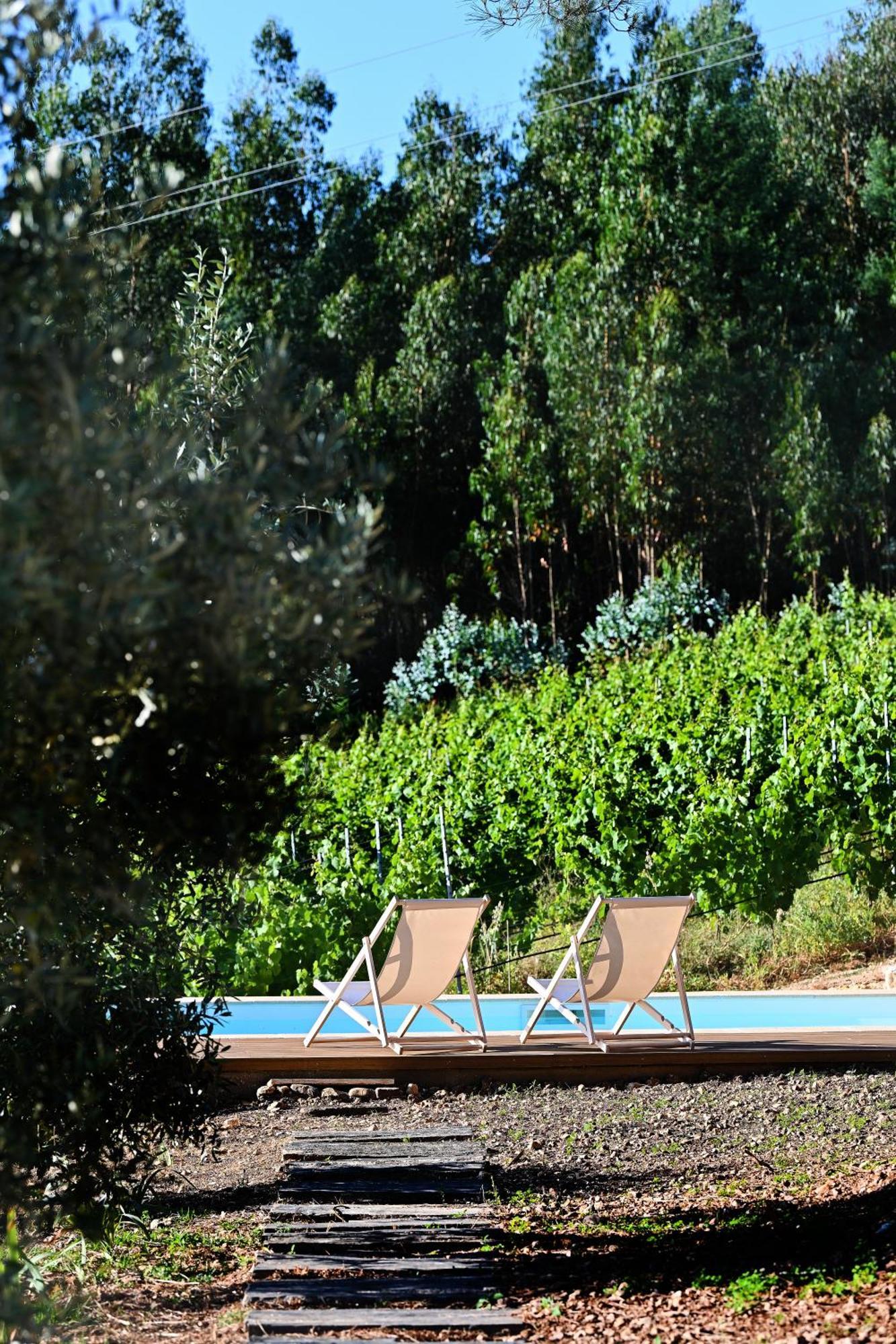 Quinta Da Aldeia Nova Farm stay Arganil
