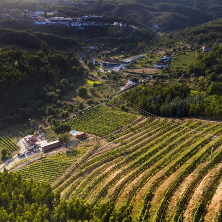 Quinta Da Aldeia Nova Arganil