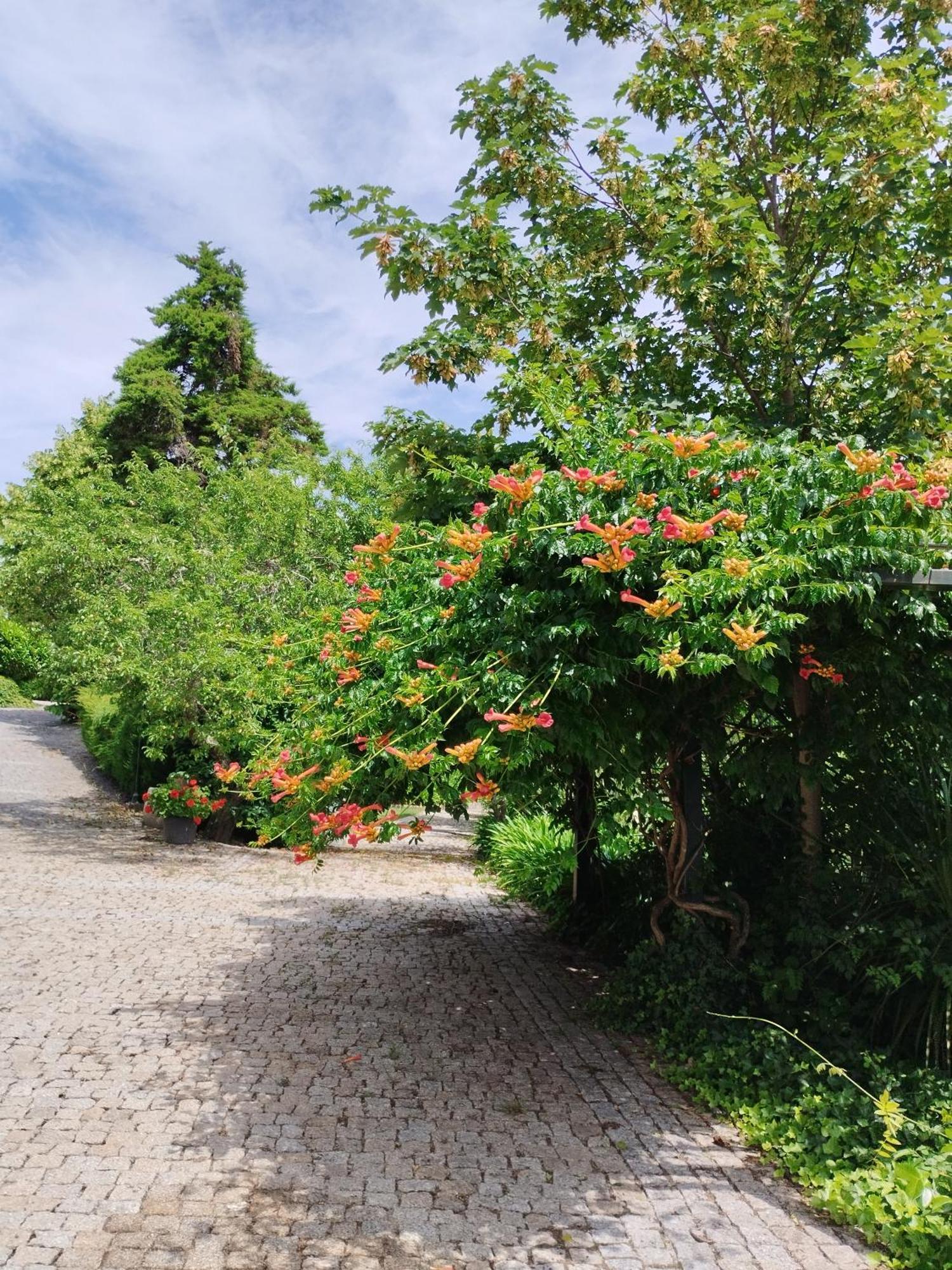 Guest house Quinta Da Telheira Vila Real