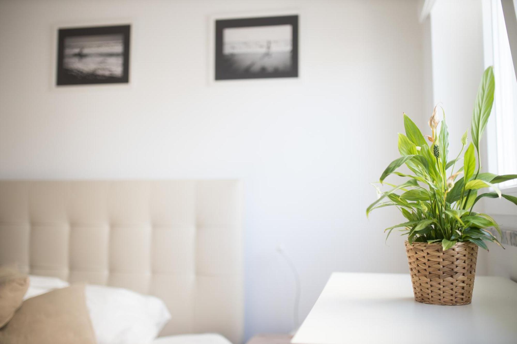 Apartment Casas Do Mar
