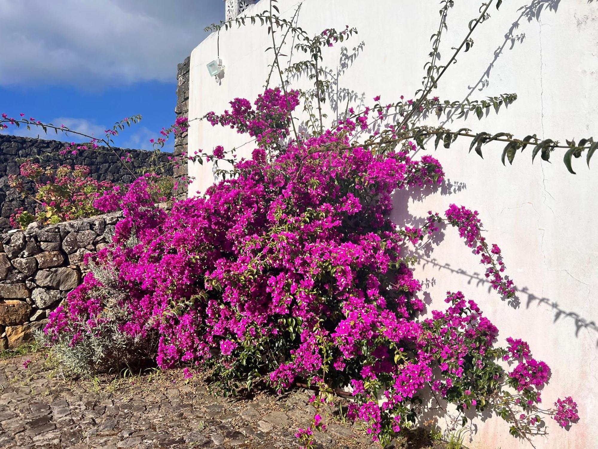 Casa Do Becco Holiday home *