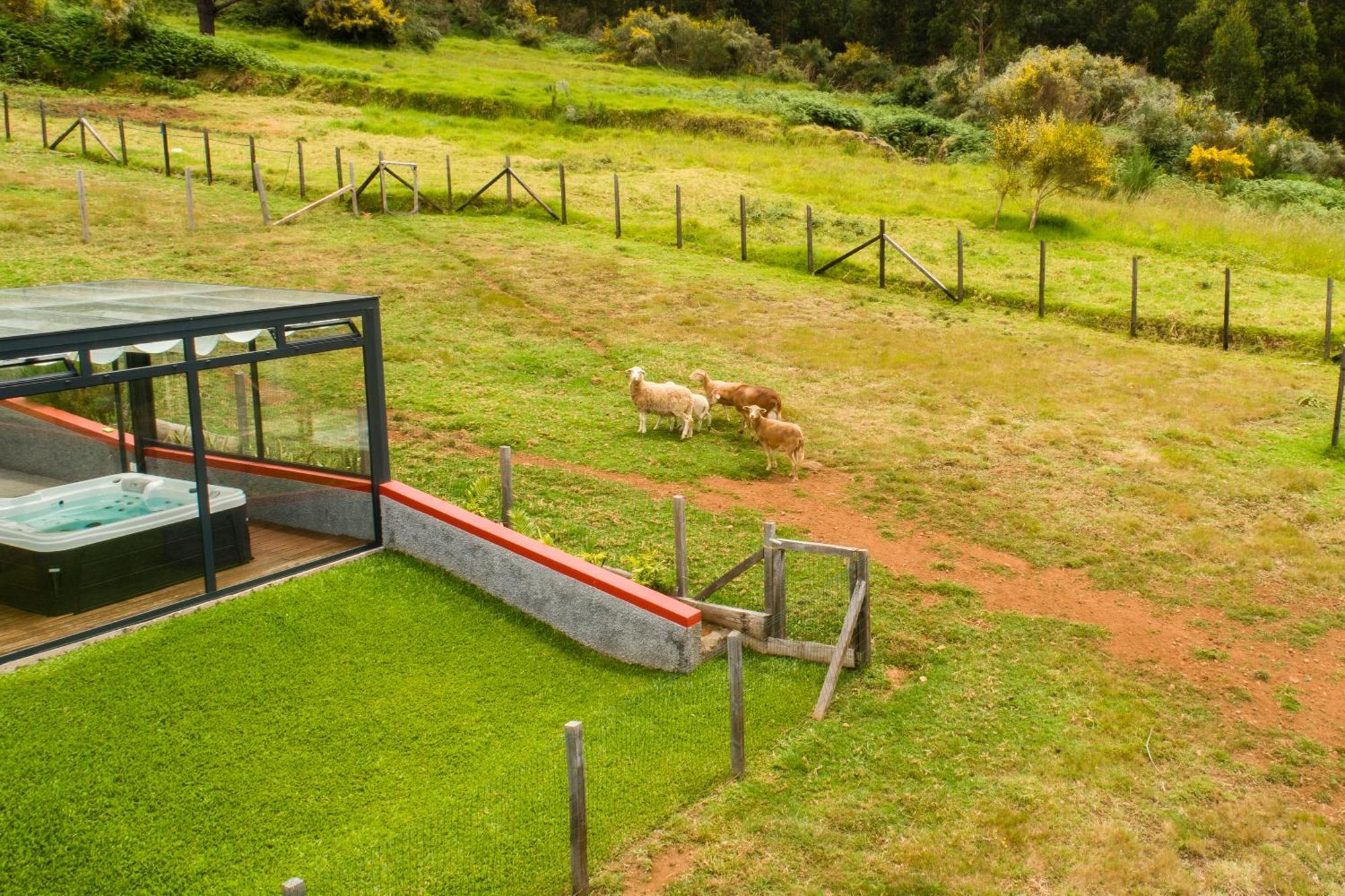 Casa de férias Florencas House - Private Jacuzzi & Garden Calheta (Madeira)