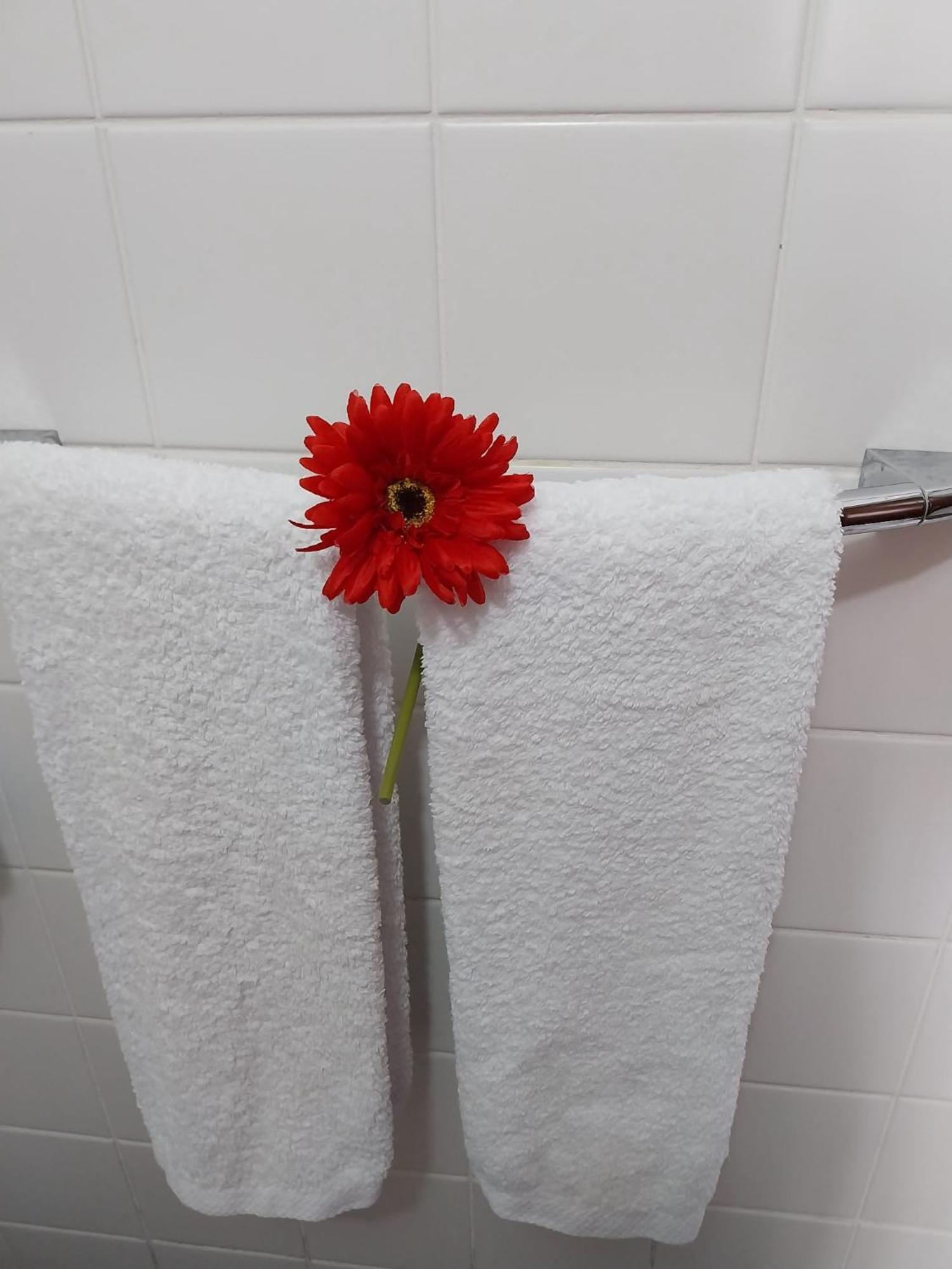 Palheiro Do Farrobo Casa de férias