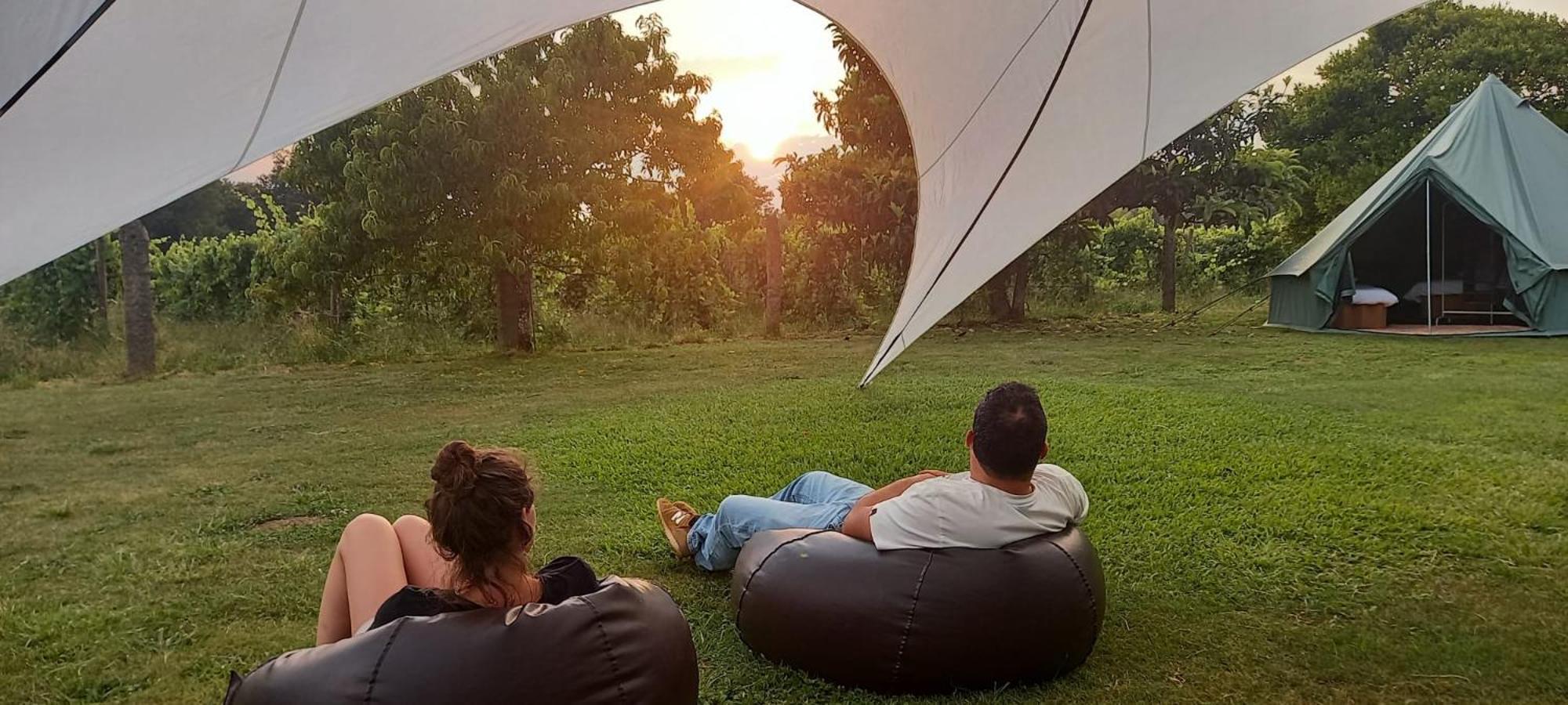 Quinta Da Teimosa Farm stay