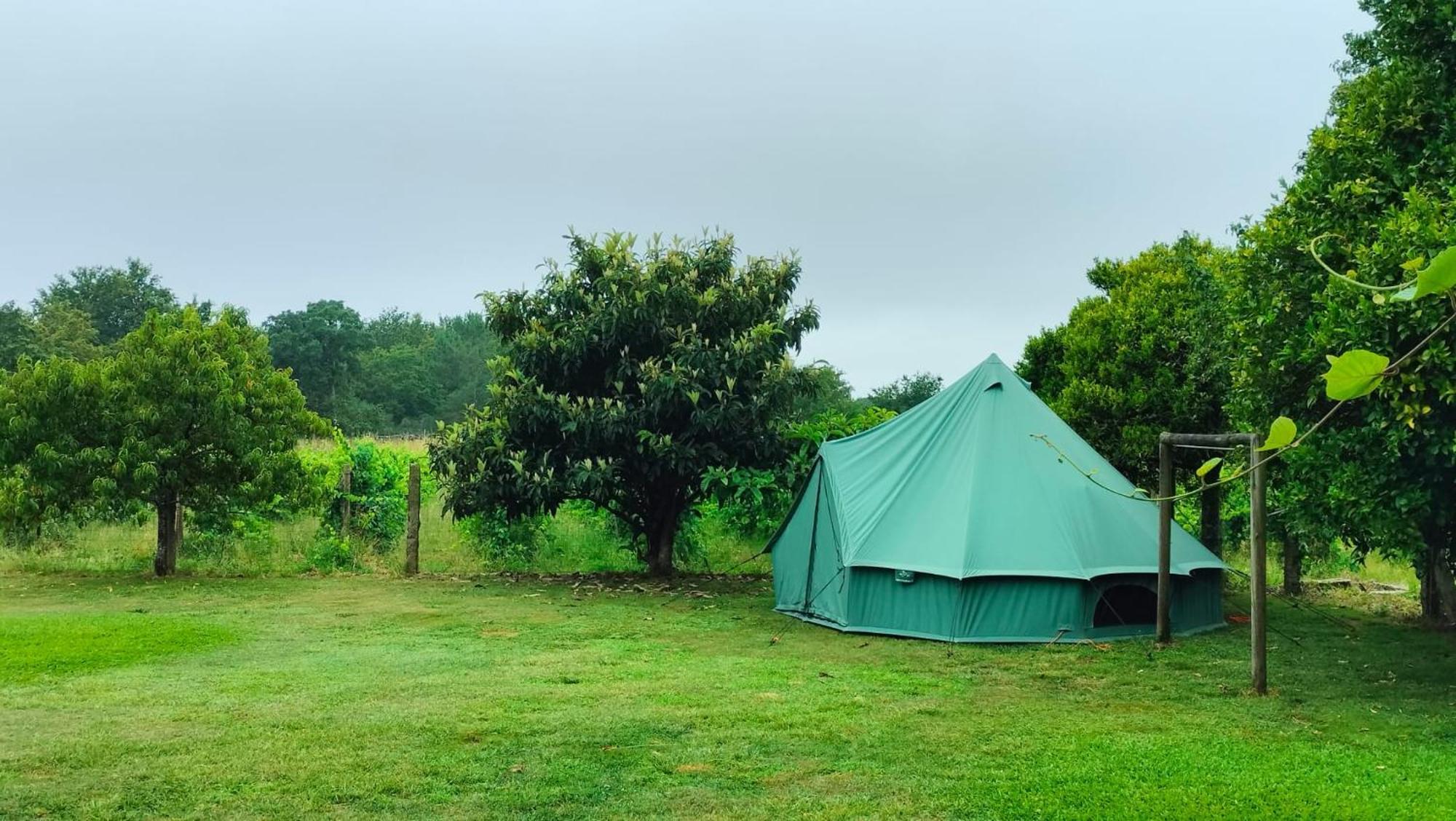 Farm stay Quinta Da Teimosa