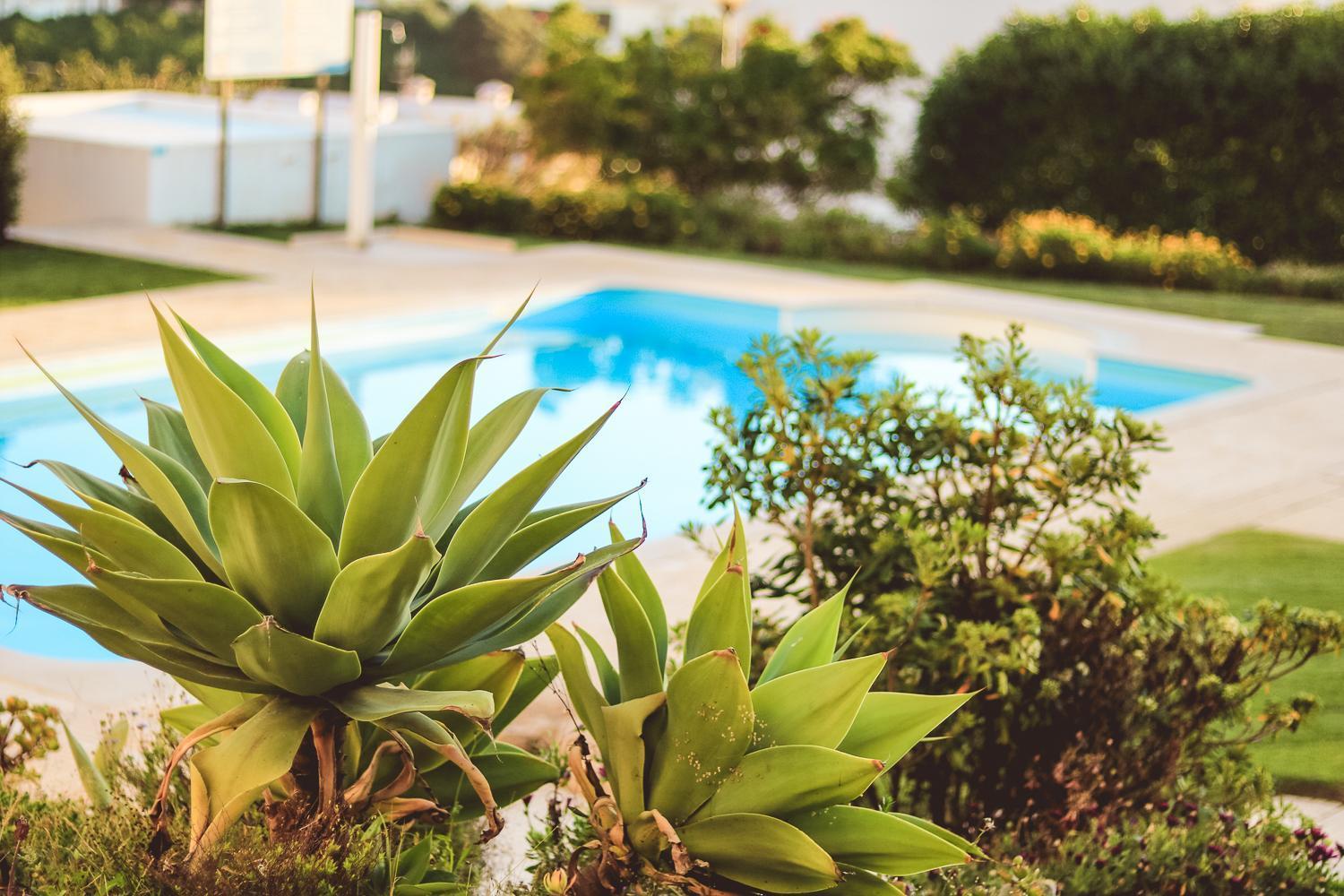 Sea And Soul - Pool And Sea View Apartment Ericeira
